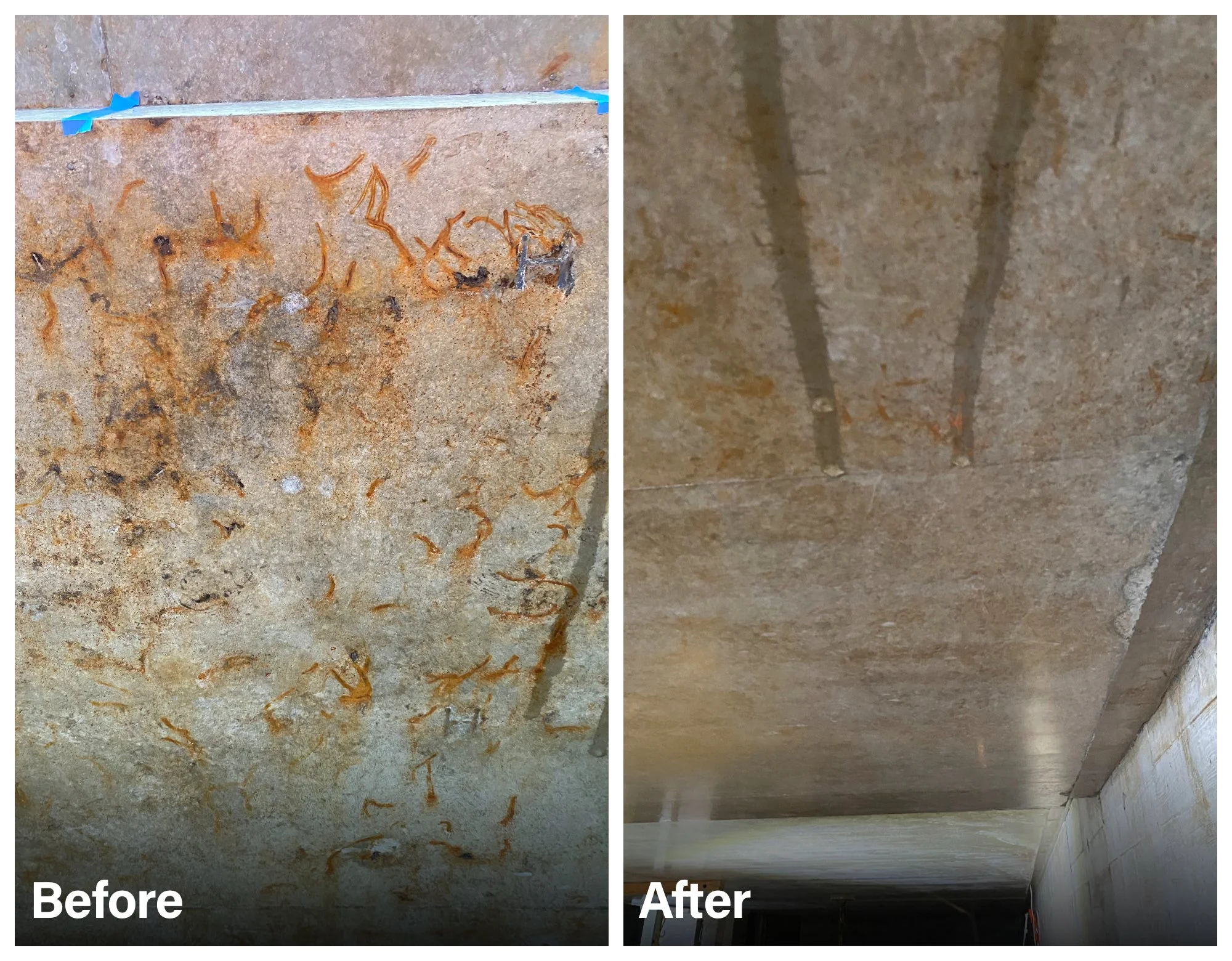 Sandringham concrete clean 3.jpg