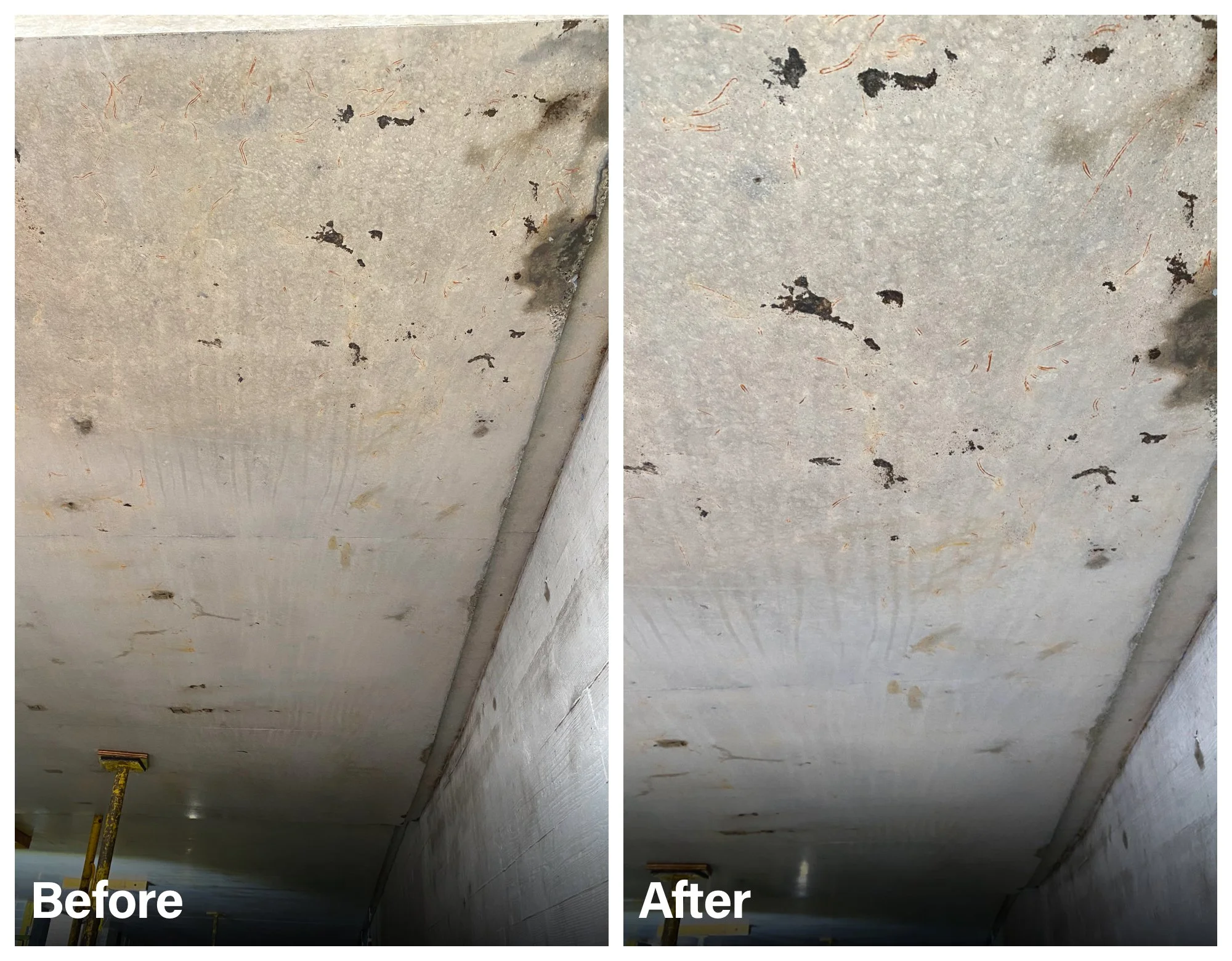 Sandringham concrete clean.jpg