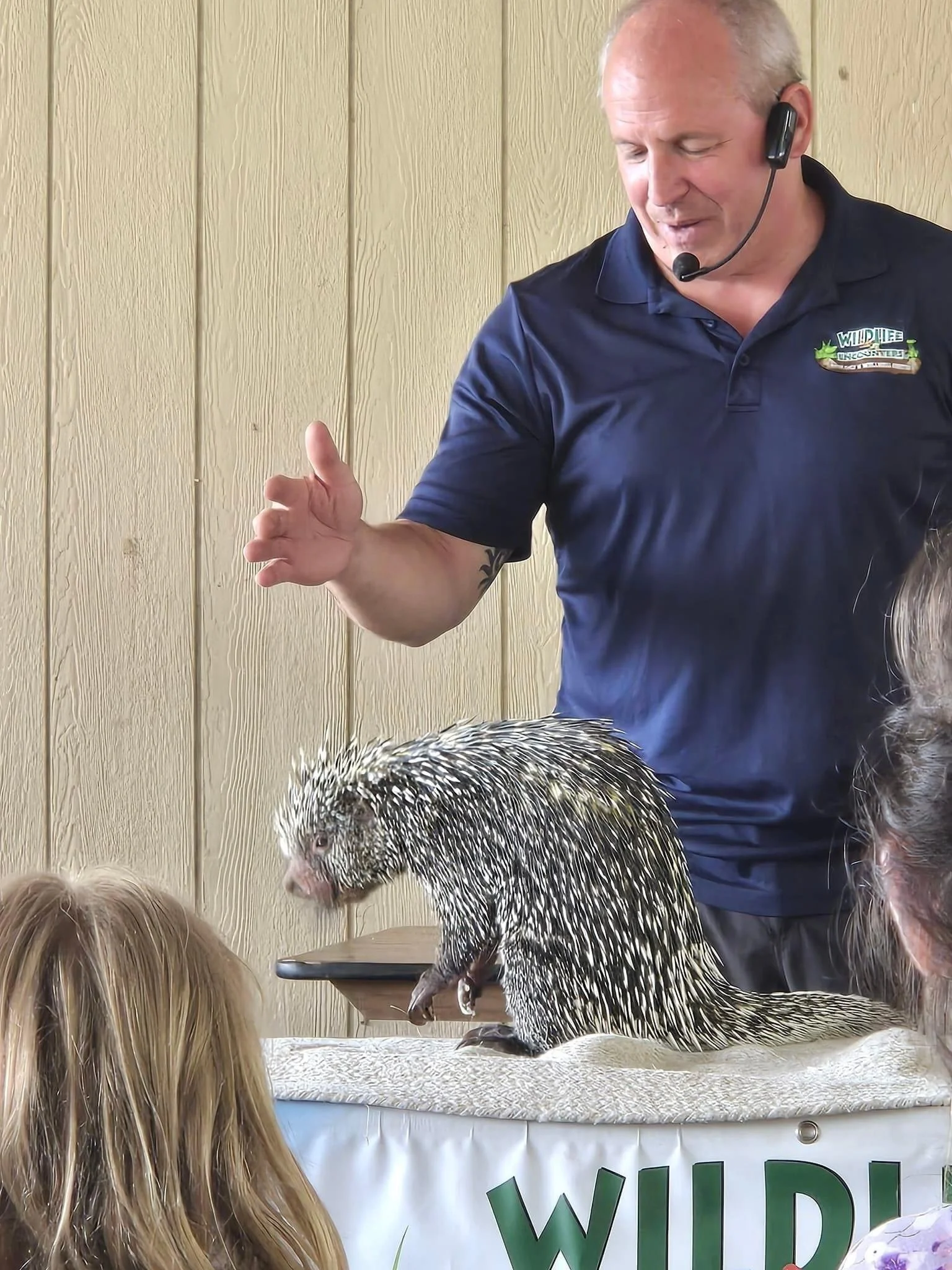 A Real Porcupine. At last year's PorcFest, our Porcupints pavilion hosted a