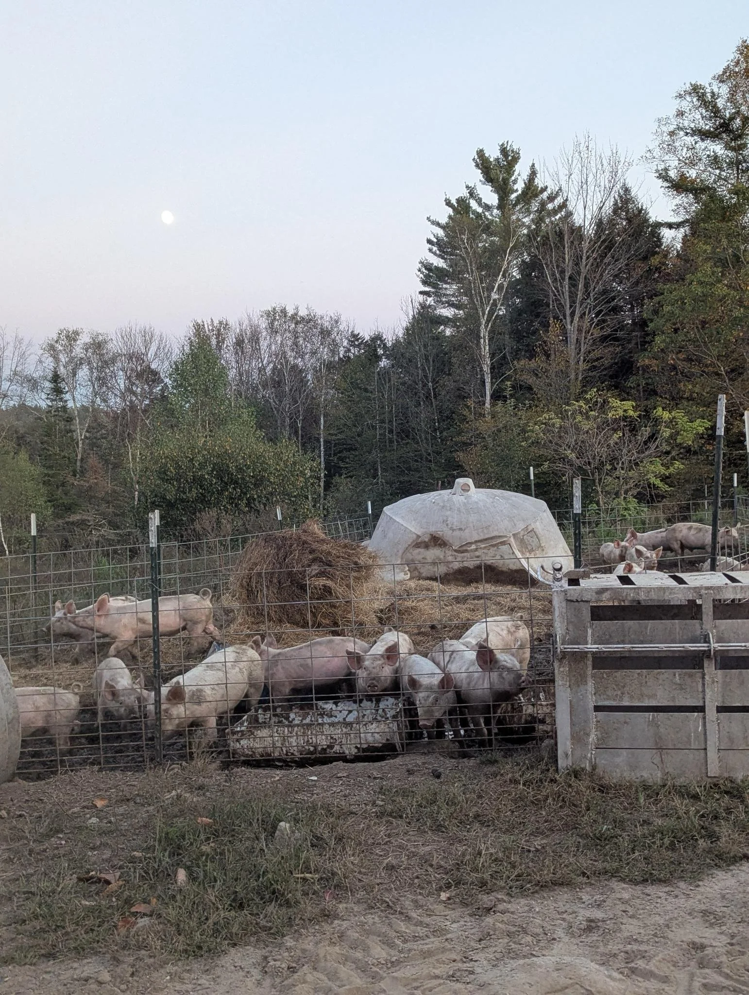 Bardo Potluck October 2025!