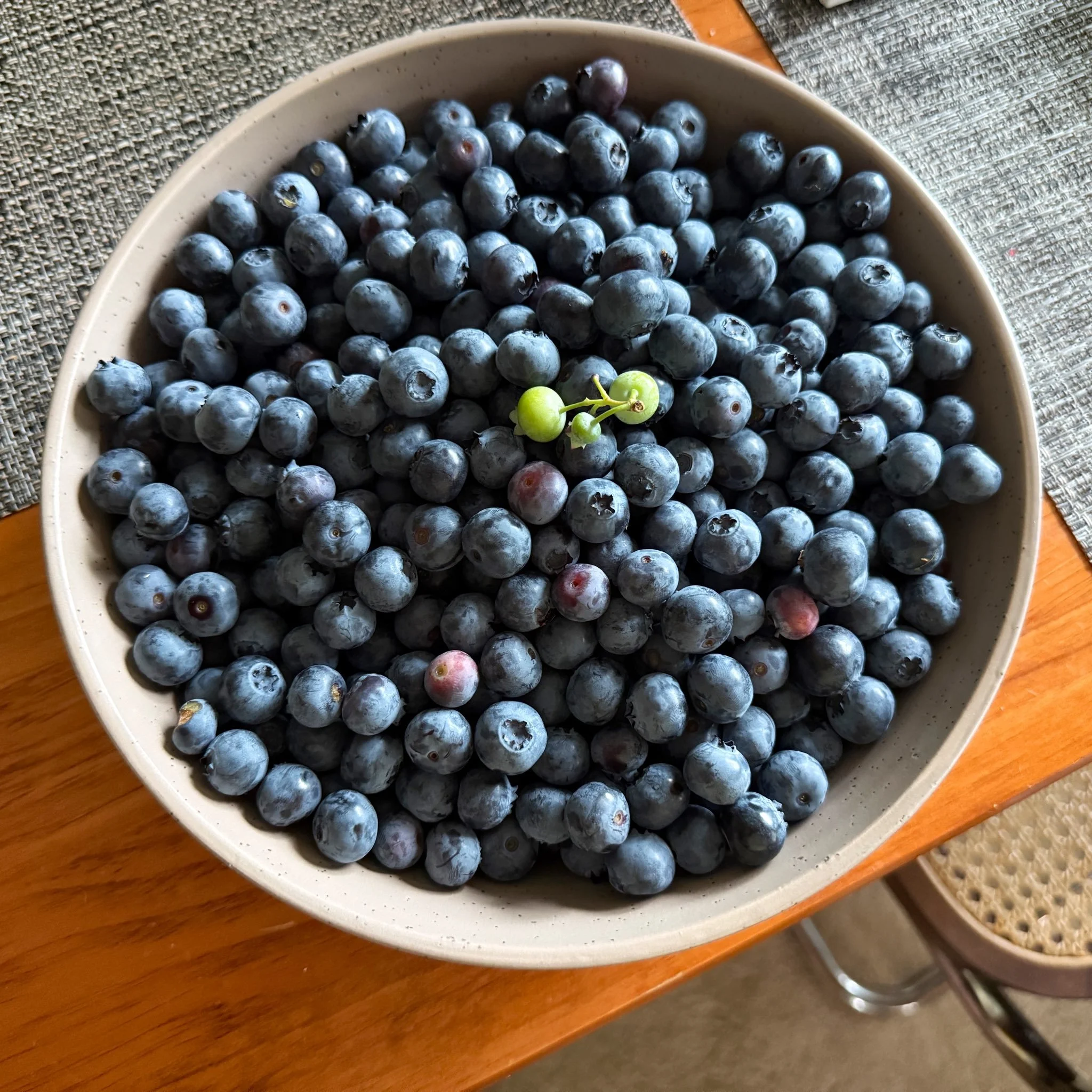 Blueberry Season is Here. Now is the perfect time to stop by one of New Hampshire's many pick-your-own blueberry farms.