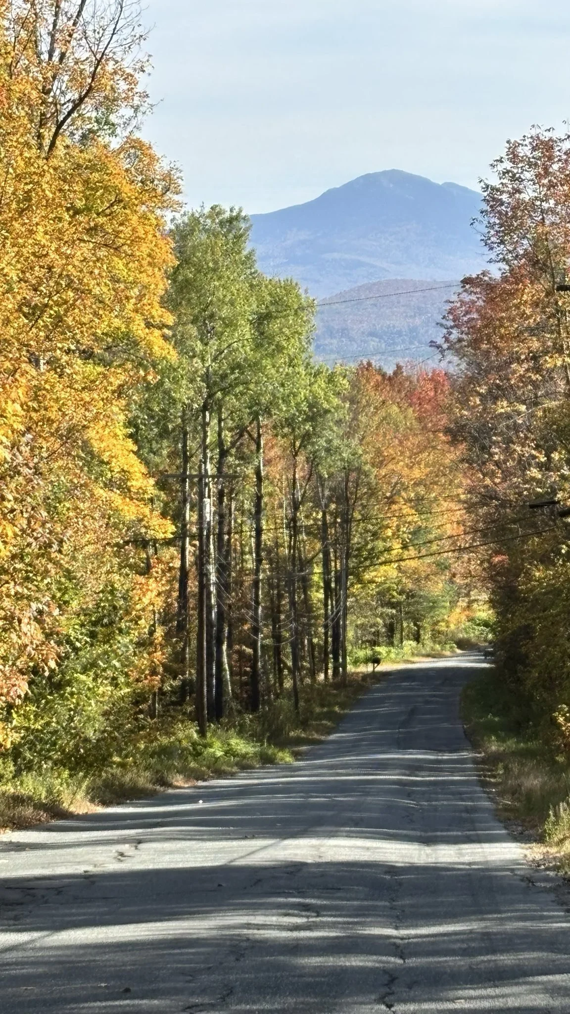 Autumn, without communism! A beautiful day and the federal government is shut down! What more could any Free Stater ask for?