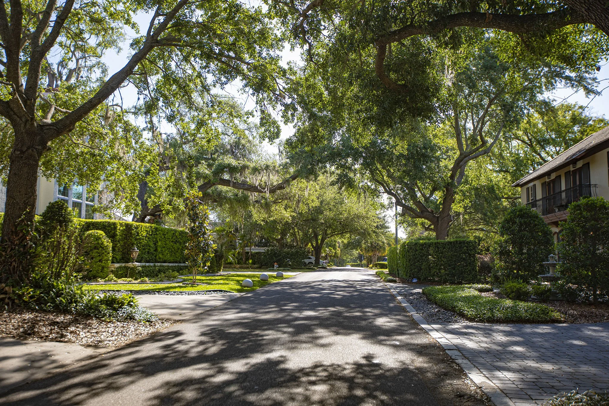 modern-home-winter-park-fl-446-melrose-35-tree-lined-street-neighborhood.jpg