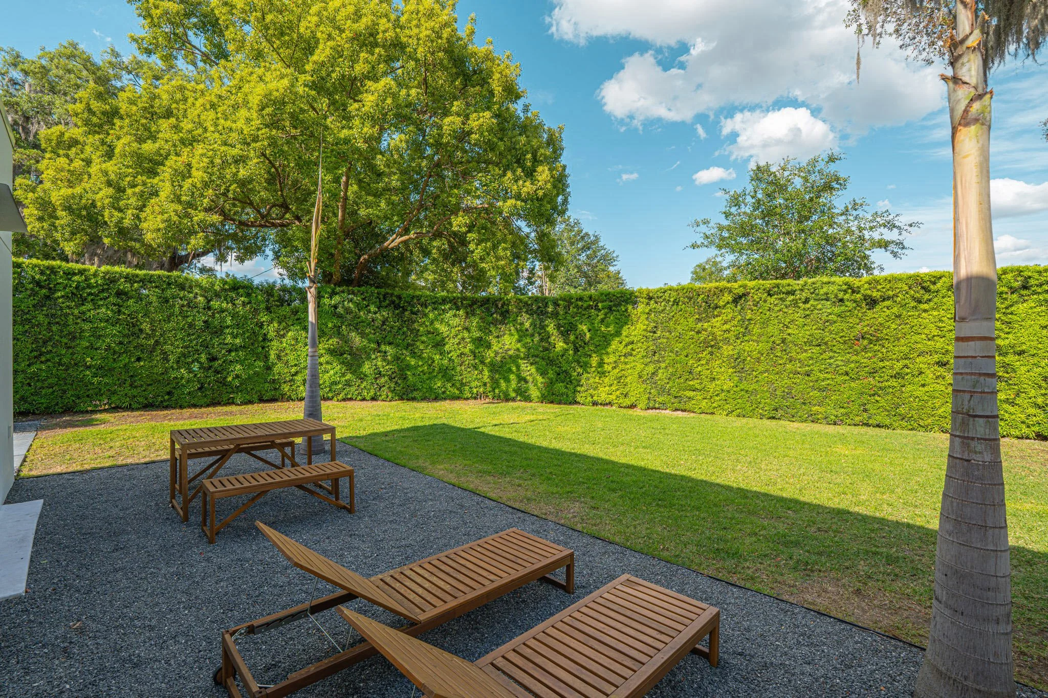 modern-home-winter-park-fl-446-melrose-22-backyard-lawn-privacy-hedge.jpg