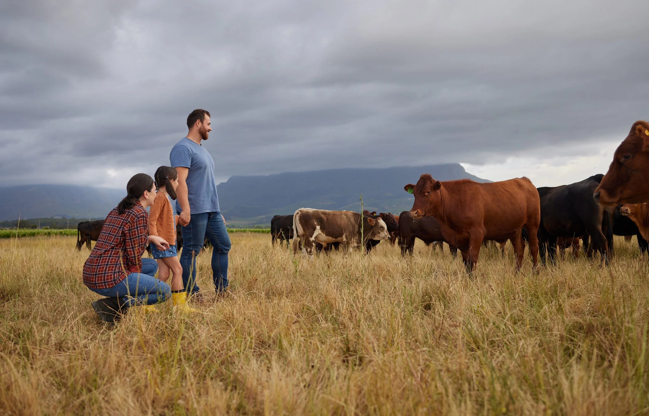 Family farm tour near Solvang