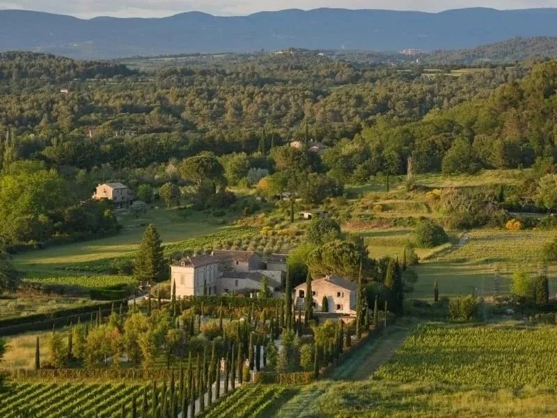 Scenic view of the Santa Ynez Valley countryside with rolling hills, vineyards, scattered houses, and lush green trees under a clear sky.