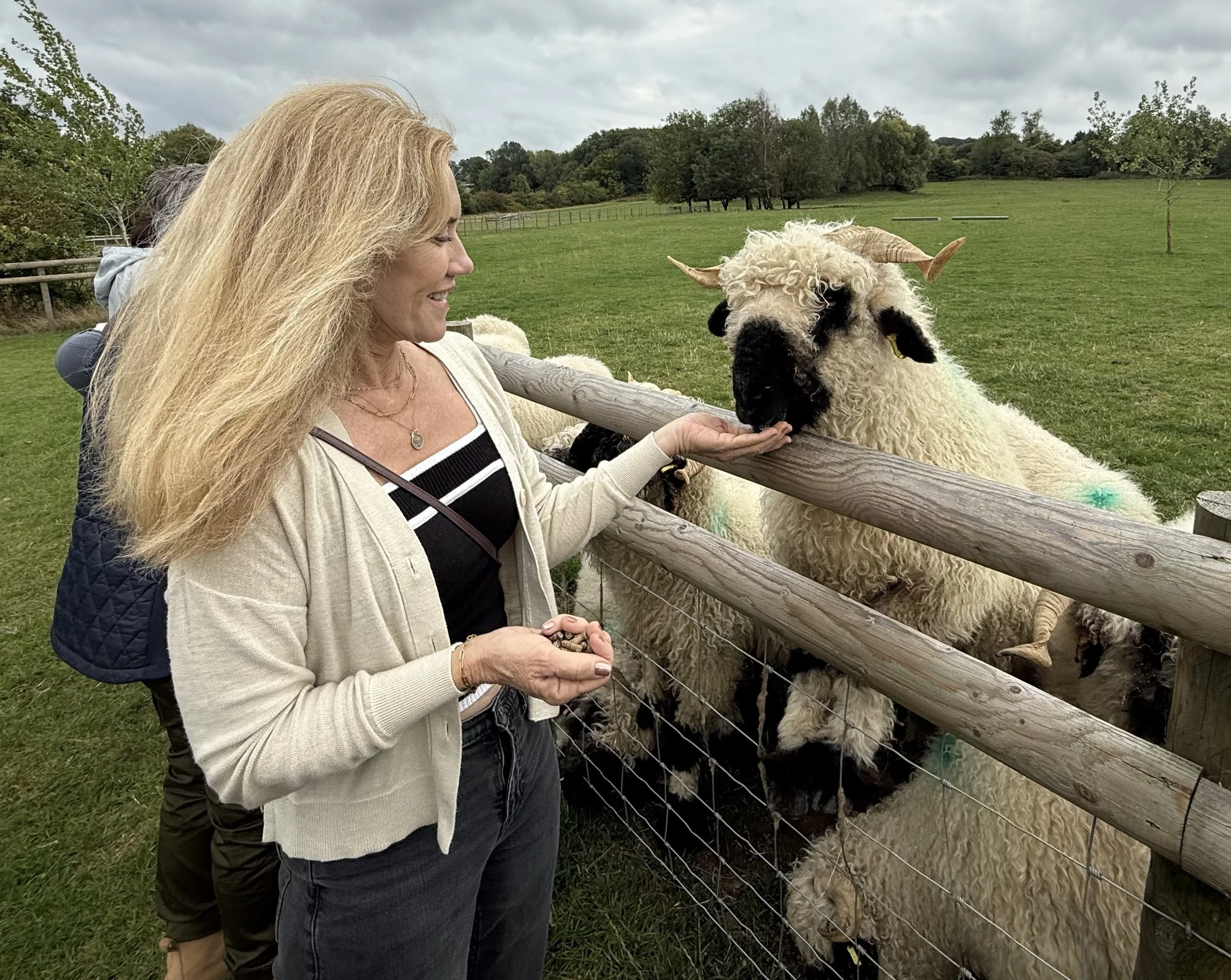 Woman feeding a sheep on a Heritage Farmland tour experience