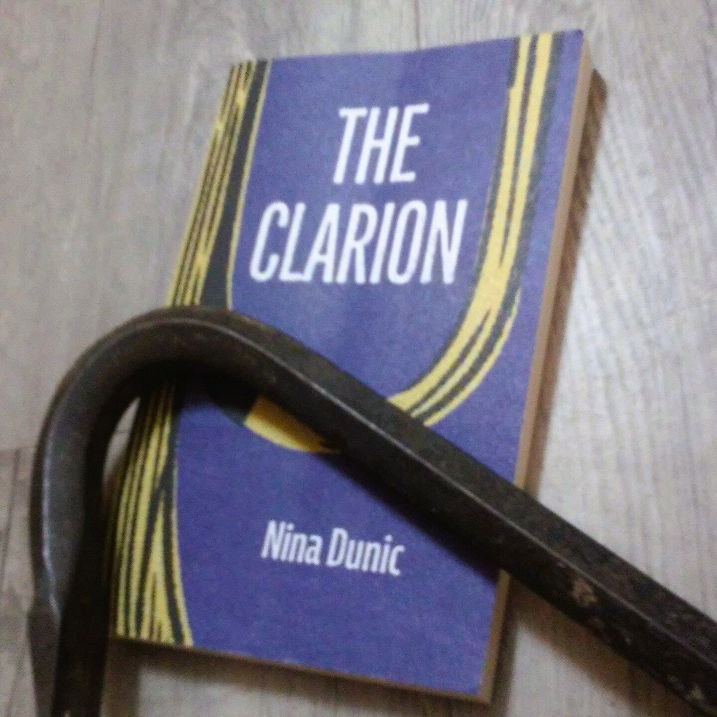 The Clarion by Nina Dunic

&quot;He seemed to hate most people, yet he was astonishingly sensitive in every regard, and I struggled to understand that, let alone see it as a cause. It was a mistake to think sensitive people would always be kind. I th
