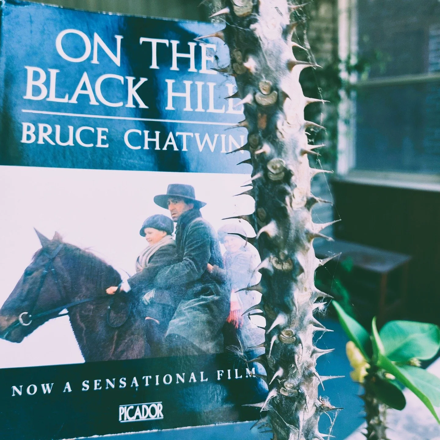 On The Black Hill by Bruce Chatwin

By 1918, most British units had equipped their horses and mules with gas-masks, whereas the Germans went on losing supplies; and though no military historian would credit Jim the Rock with the invention of the equi