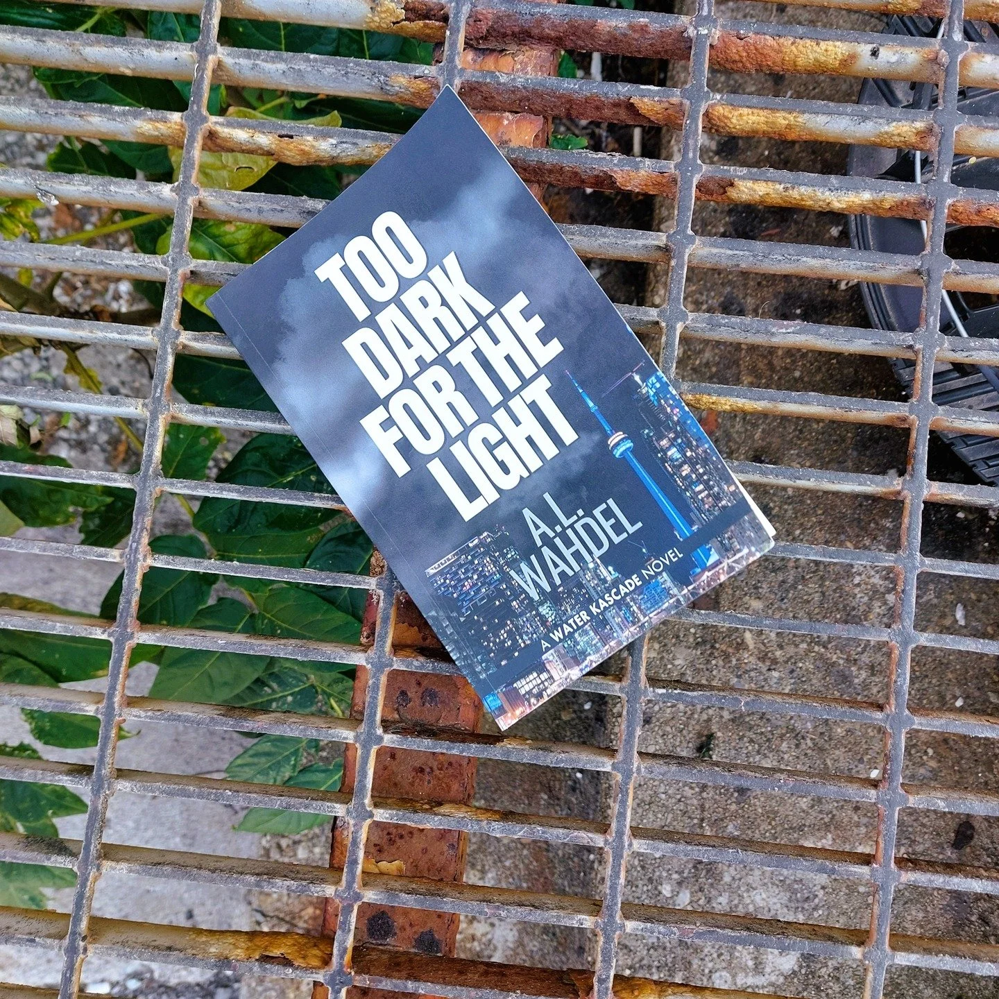 Too Dark for the Light by A.L. Whadel 

Too Dark for the Light is a fast-paced police procedural that keeps the reader turning the pages right to the very end. Detective Sergeant Water Kascade (his father made a mistake on the birth certificate) is g