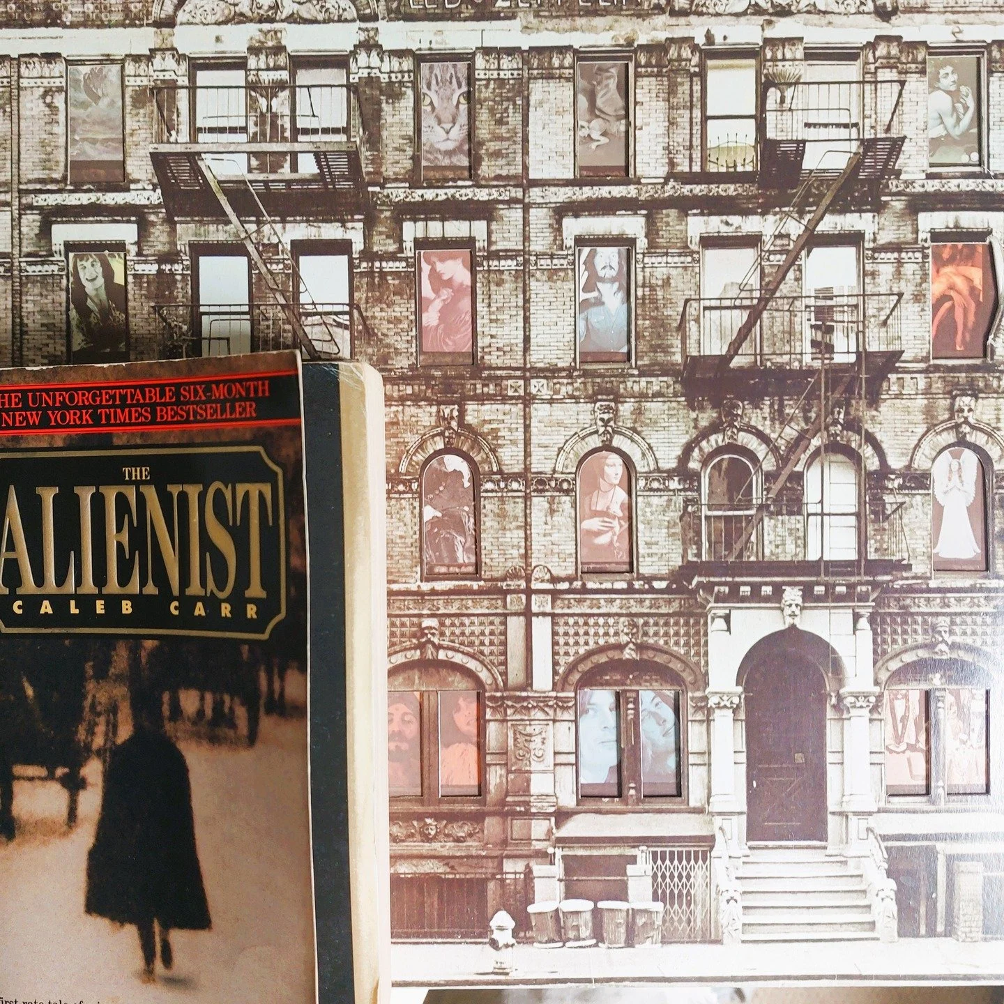 The Alienist by Caleb Carr

Theodore is on the ground.
The words as I write them make as little sense as did the sight of his coffin descending into a patch of sandy soil near Sagamore Hill, the place he loved more than any other on earth.

#thealien