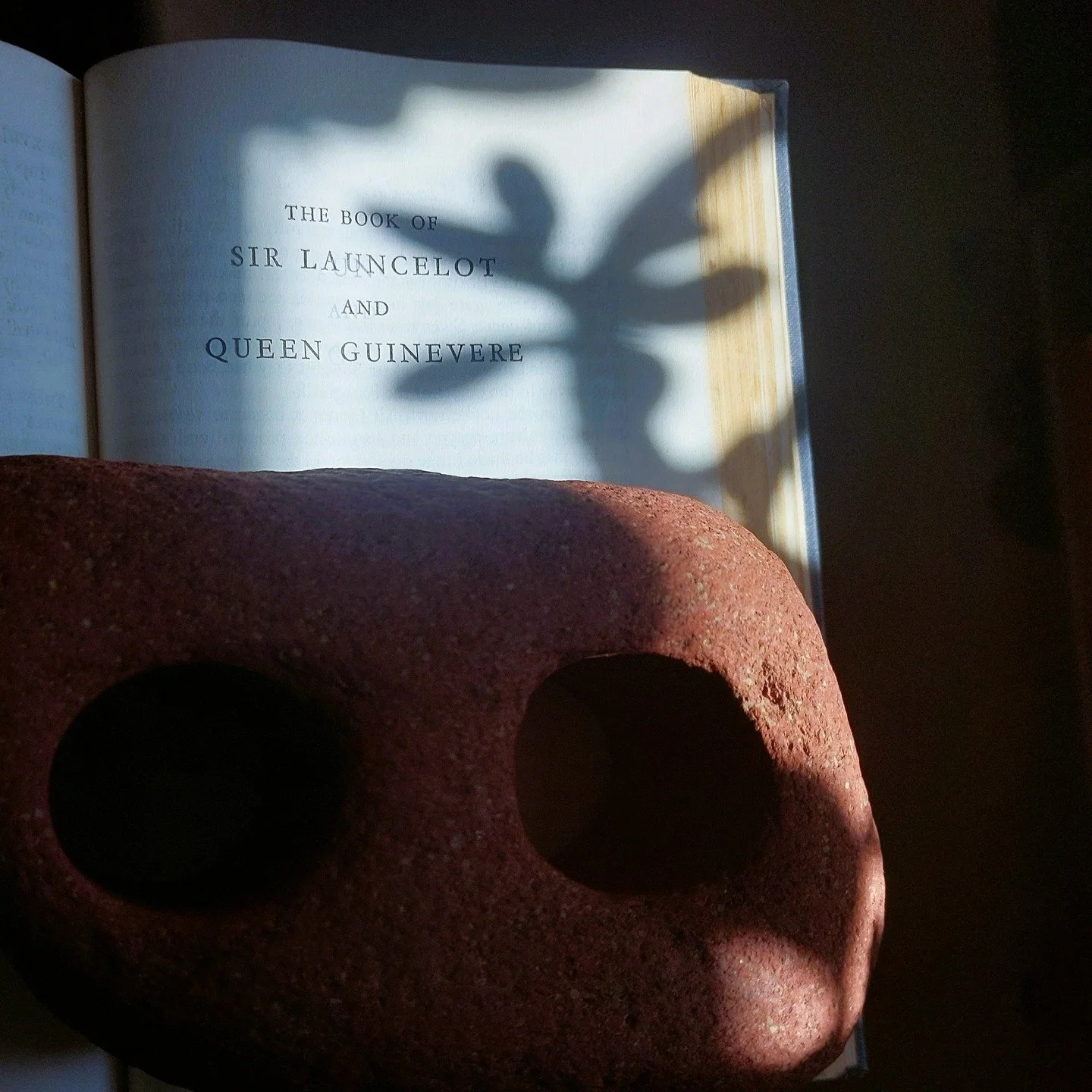 The Book of Sir Launcelot and Queen Guenevere by Sir Thomas Malory
"Sir Launcelot, now I well understonde that thou arte a false, recrayed knyght and a comon lechourere, and lovyste and holdiste othir ladyes, and of me thou haste dysdayne and s