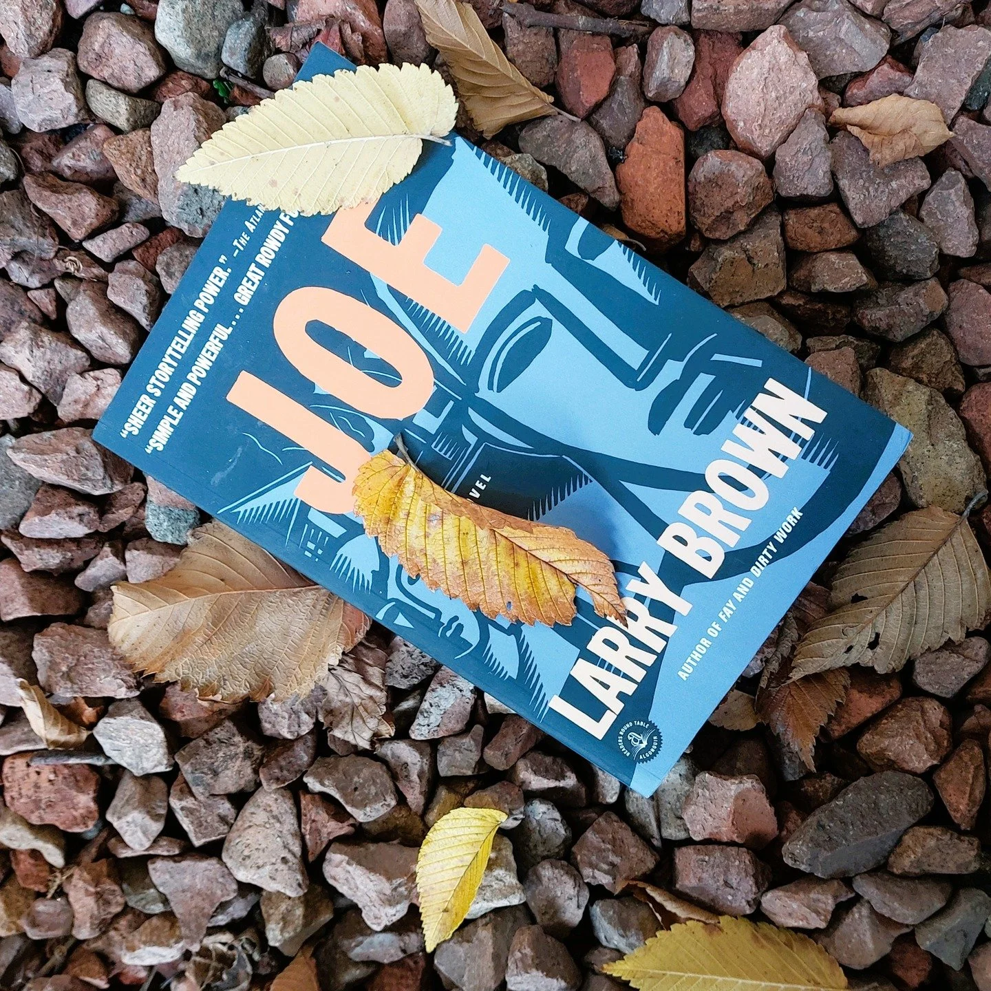 Joe by Larry Brown
"A boy was changing a tire on a tiny car behind Ofasco, and a freight truck was backing up to Big Star. Blue milk cartons were stacked higher than a man's head on the dock."
#Joe #larrybrown #algonquinpaperbacks