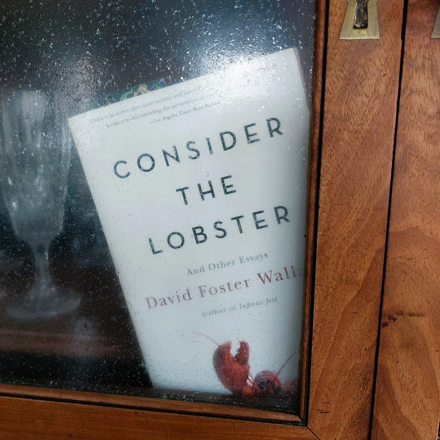 Consider the Lobster by David Foster Wallace
(Actually, it might extend all the way up to Bucksport, but we were never able to get further north than Belfast on Route 1, whose summer traffic is, as you can imagine, unimaginable.)
#DFW #considerthel