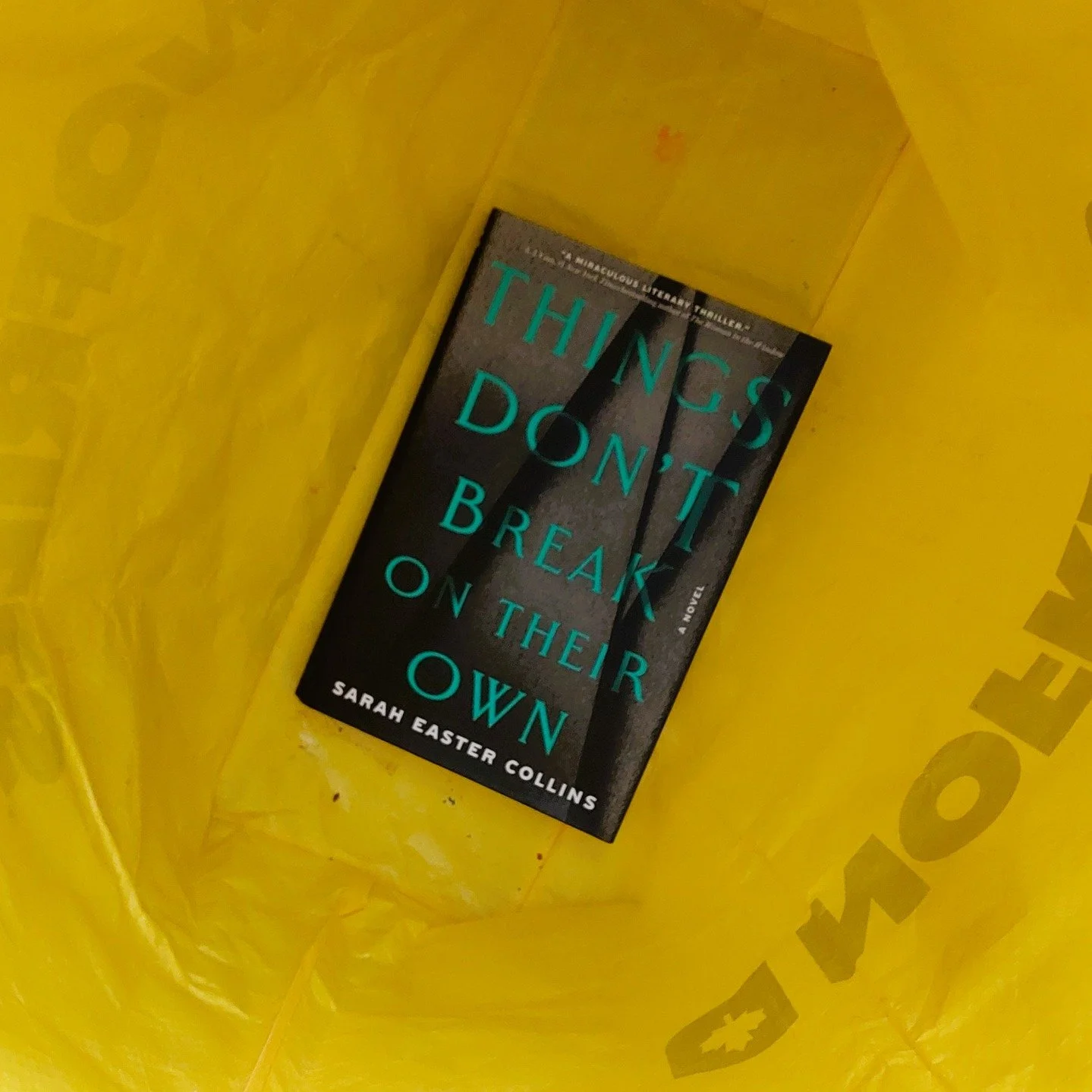 Things Don't Break on Their Own by Sarah Easter Collins

"The summer before she disappeared, my sister had spent the entire time begging me to play chess. It was a pretty boring activity as far as I was concerned..."

#saraheastercollins #t