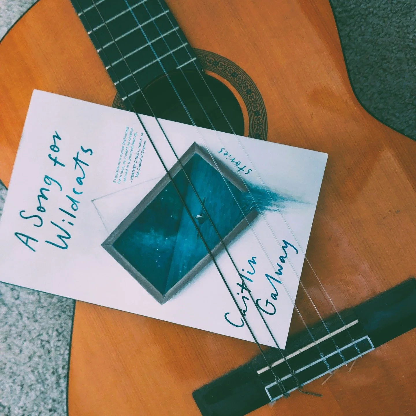 A Song for Wildcats by Caitlin Galway

"Poison went down cleanly enough but made a frothing mess when it came back up."

or...

She could never explain it to anyone, or make much sense of it herself. That is what they never tell you of madn