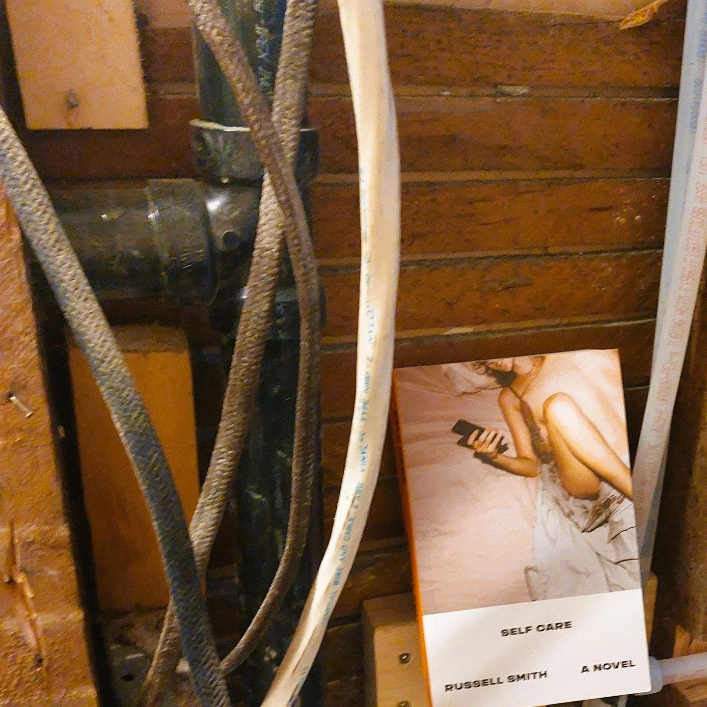 Self-Care by Russell Smith

Bleak and funny and highly recommended. 

"She knew she was supposed to do her breathing exercises for anger, but she was too angry."

or...

 He shook his head. "No way would I let someone give me a pill. I