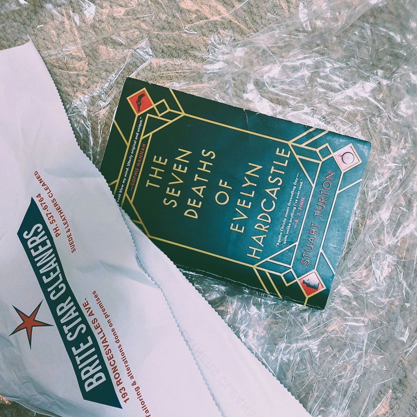 The Seven Deaths of Evelyn Hardcastle by Stuart Turton

"Age is coiling around me, its fangs in my neck, drawing my strength when I need it most."

#britestarcleaners