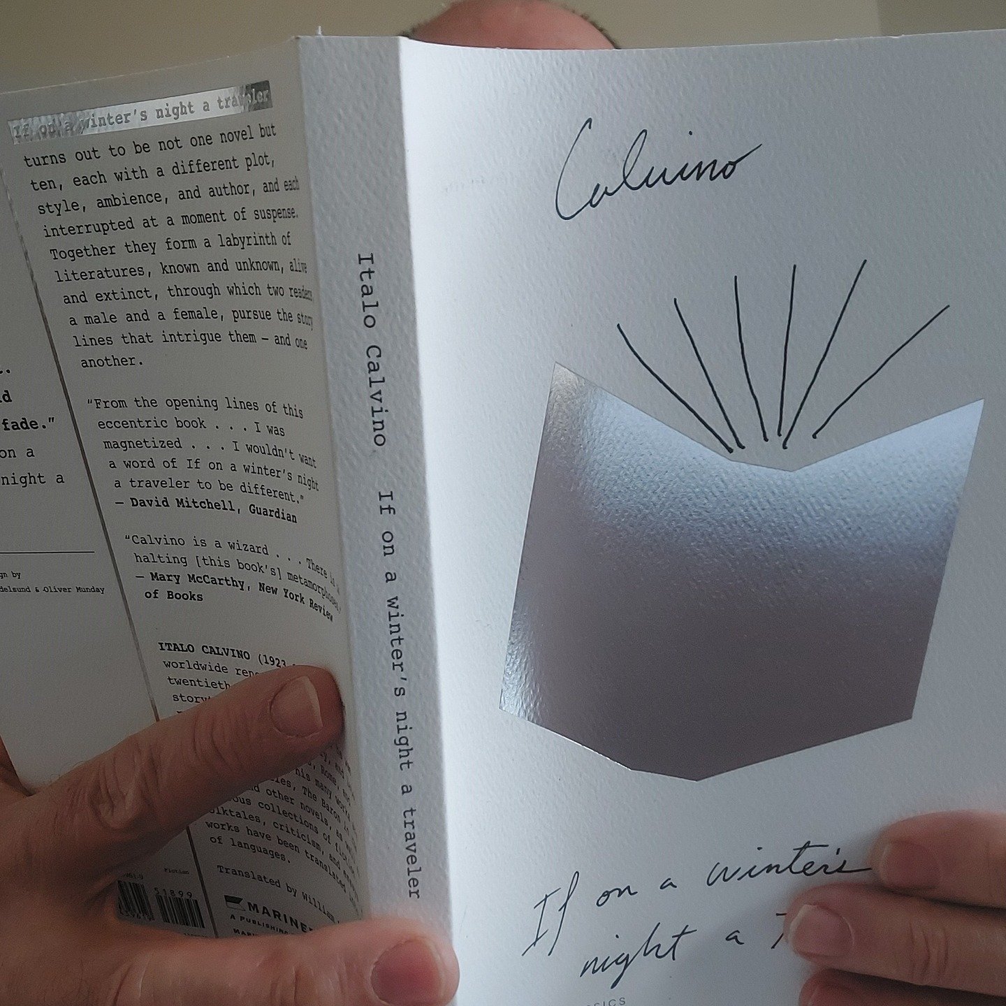 If on a Winter's night a traveler by Italo Calvino

I don't know when I last enjoyed reading a book so much. What a pleasure!

"How well I would write if I were not here! If between the white pages and the writing of words and stories that take 