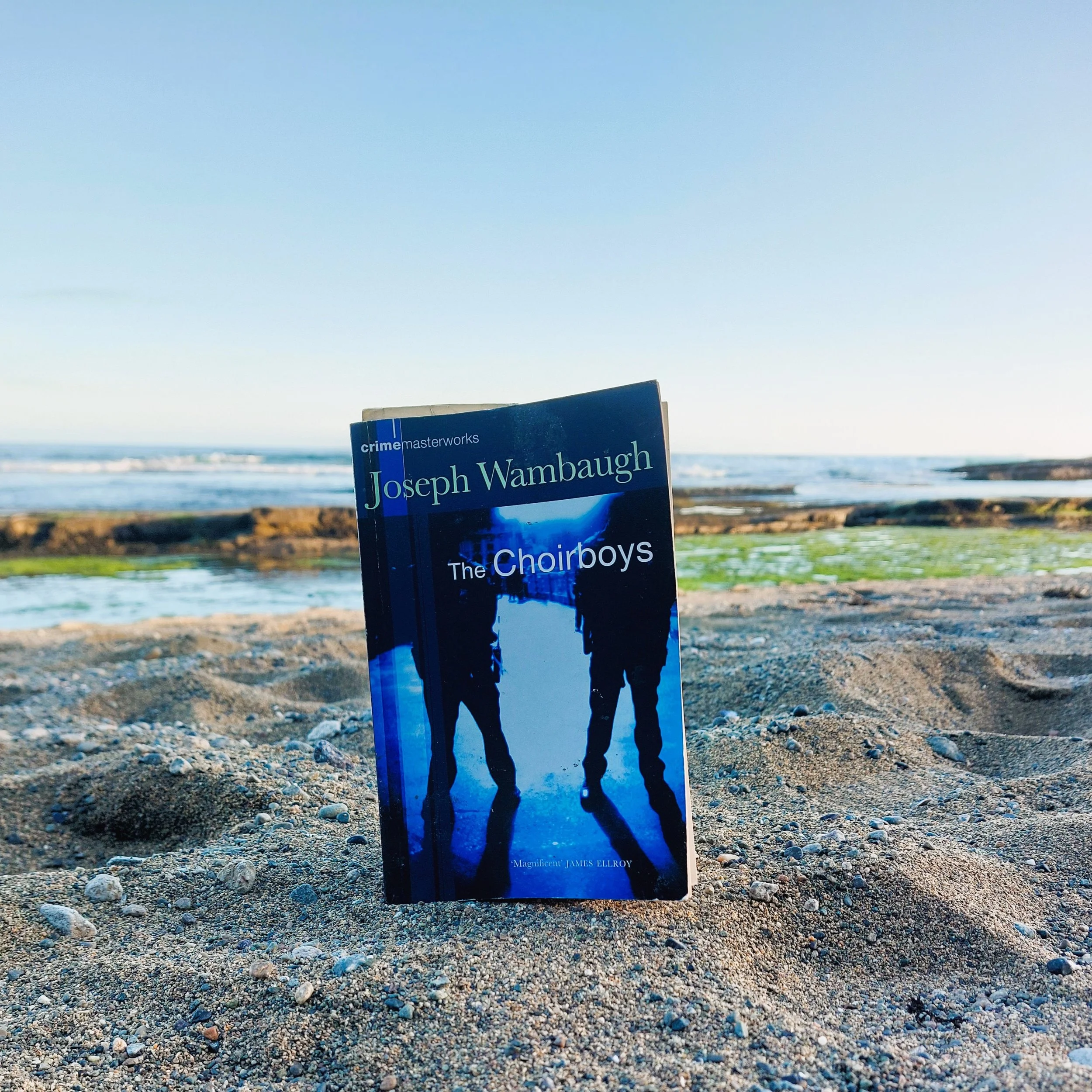 The Choirboys by Joseph Wambaugh

He was not yet convinced that Oscar Wilde was right and Aristotle was wrong: that life imitates art. So he went back to television for an answer to his domestic misery.

#josephwambaugh #thechoirboys