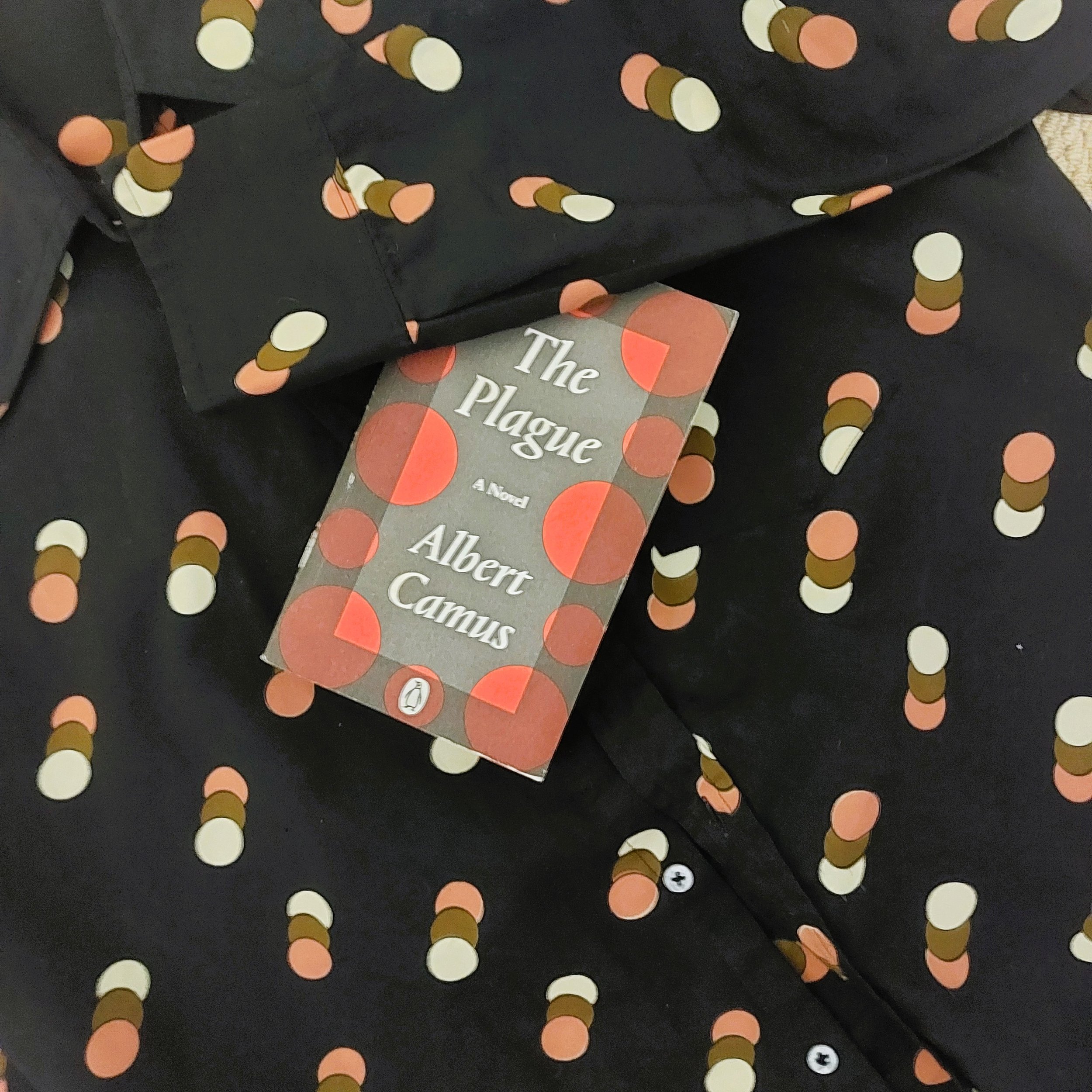 The Plague by Albert Camus

"After dinner Rieux and his mother came in to sit with the patient. The night started for him with a struggle and Rieux knew that this fierce combat against the angel of the plague would last until dawn. Tarou's wide 