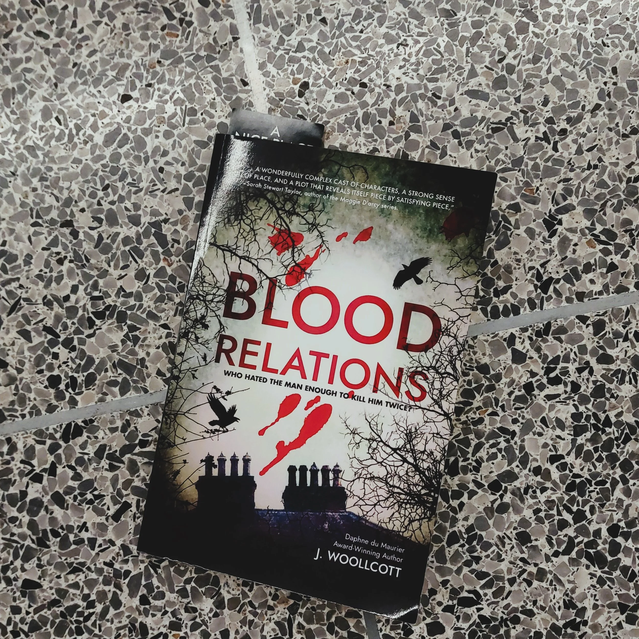 Blood Relations by J. Woollcott

Blood Relations, the second book in the DS Ryan McBride series, is, in this reader&rsquo;s opinion, even better than its predecessor, A Good Place to Die. This time around, McBride and his squad room team are trying t