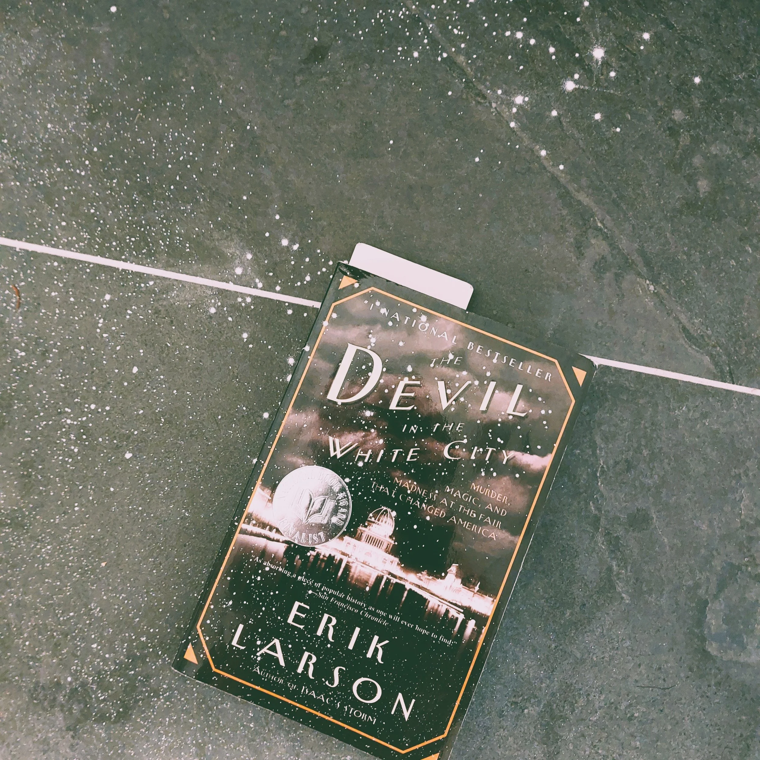 The Devil in the White City by Erik Larson

"I could not help the fact that I was a murderer, no more than the poet can help the inspiration to sing."

#eriklarson #thedevilinthewhitecity
