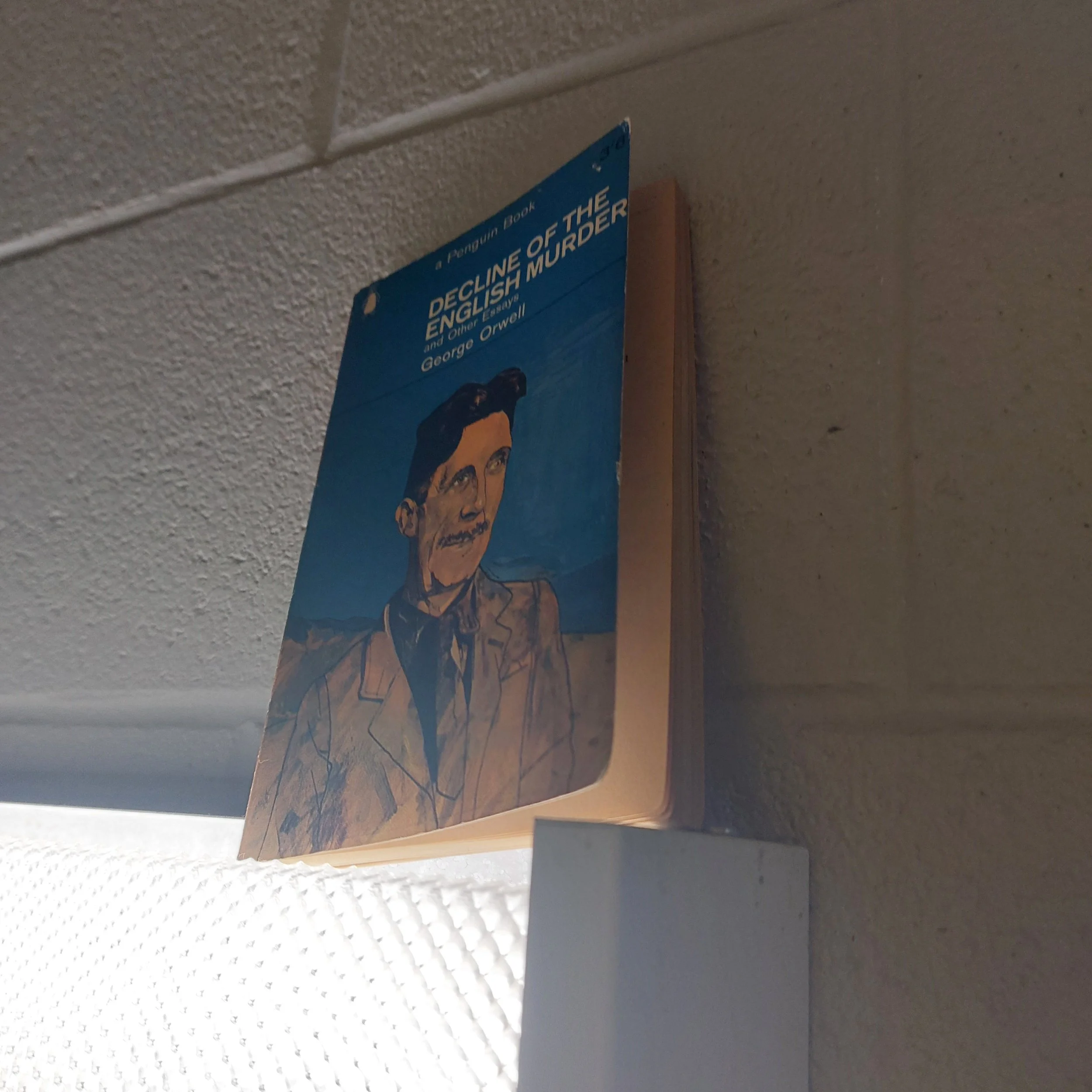 Decline of the English Murder (and other essays) by George Orwell

So much good stuff in this little book...

"Perhaps it is significant that the most talked of English murder of recent years should have been committed by an American and an Engl