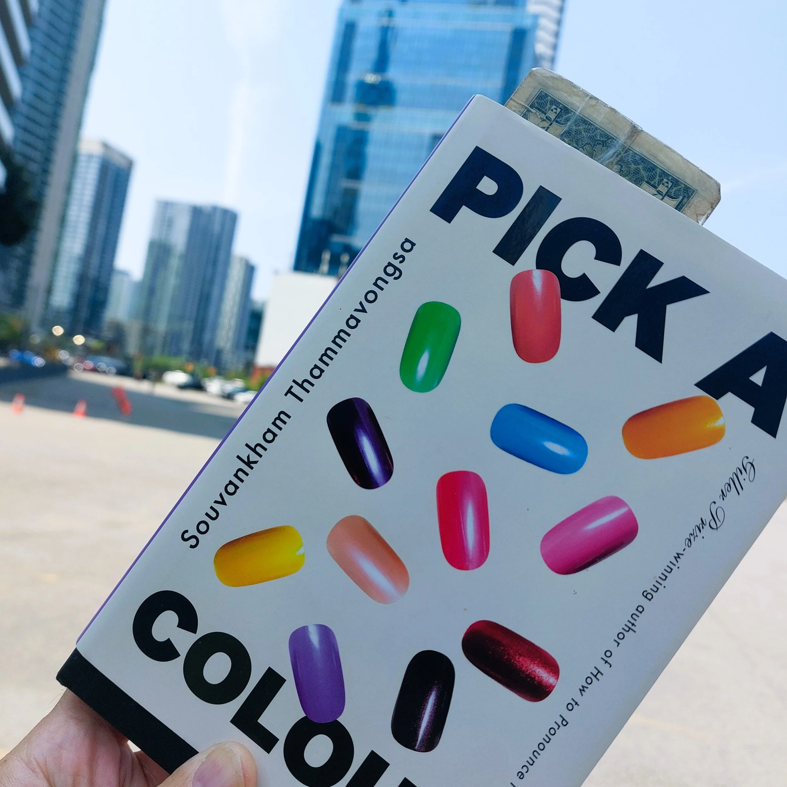 Pick a Colour by Souvankham Thammavongsa

"Everyone is ugly."

#gillerprizewinner
#pickacolour