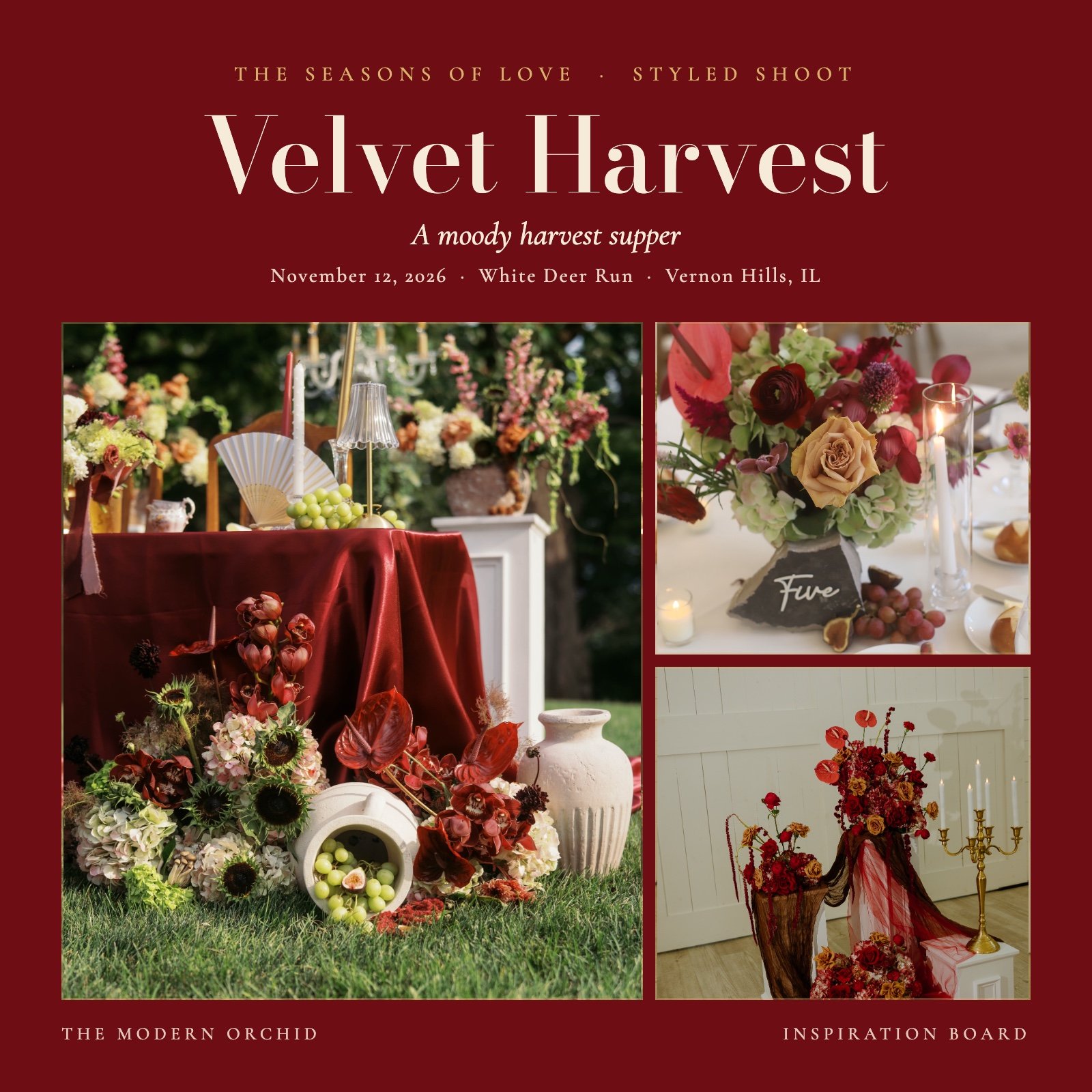 velvet-harvest.jpg