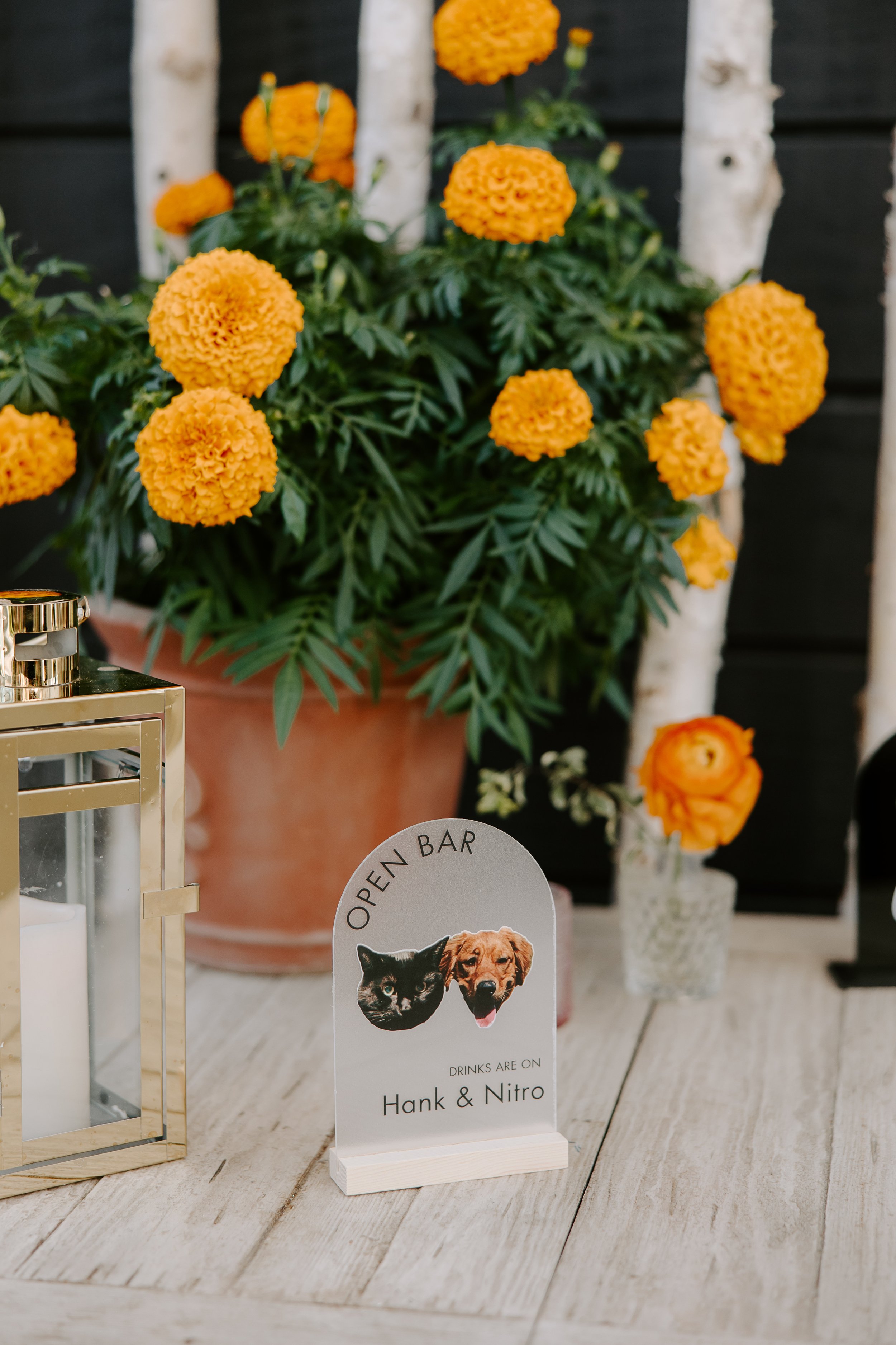 Alyssa&Mike-570.jpg