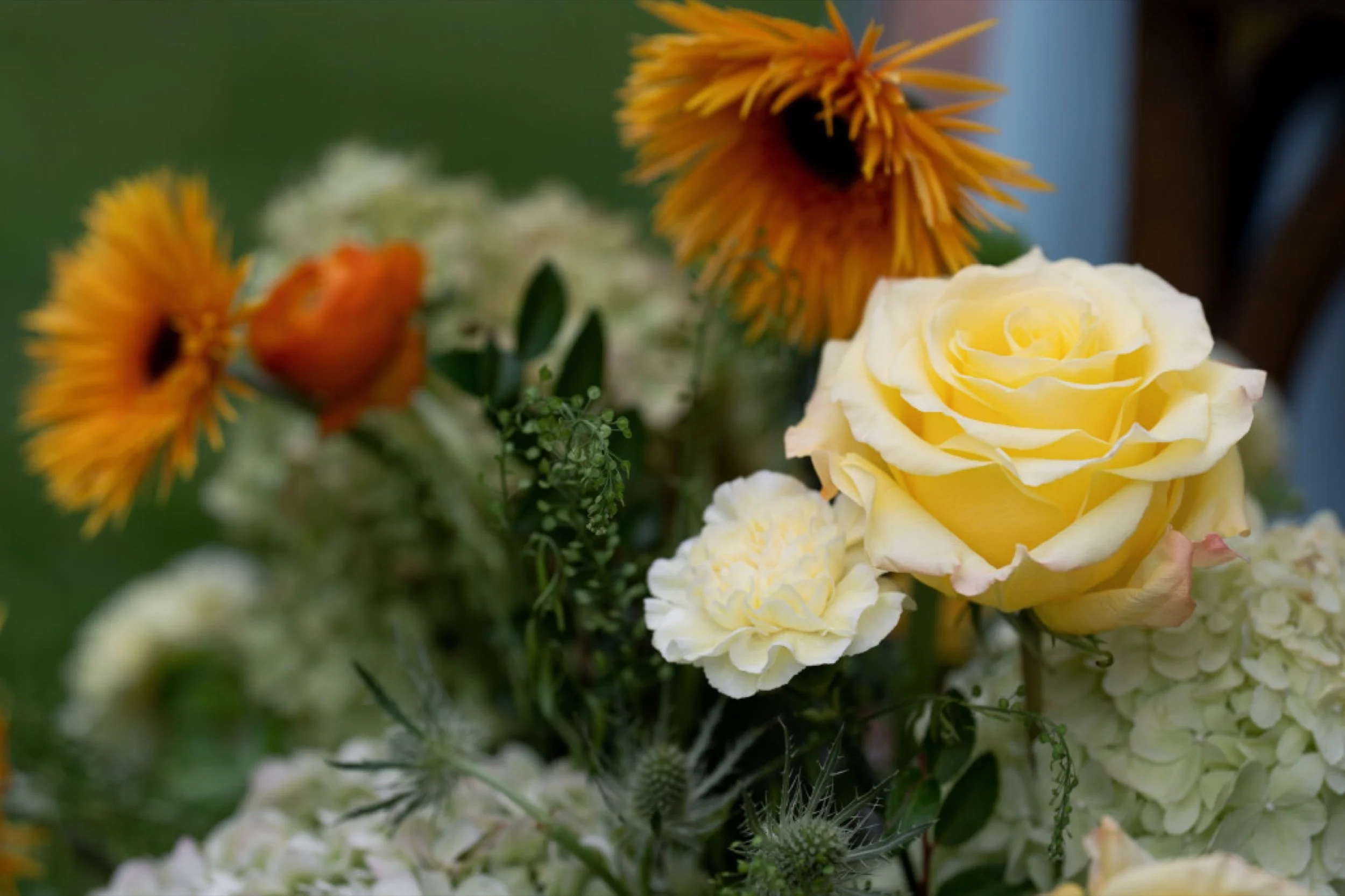 03-barrington-estate-wedding.jpg