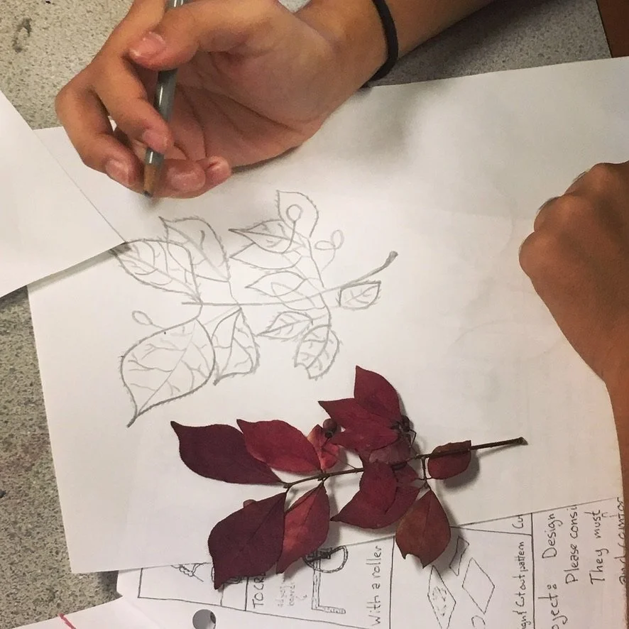 36937560-B4F1-43E6-BE80-AD10320098F1_1_105_c.jpeg