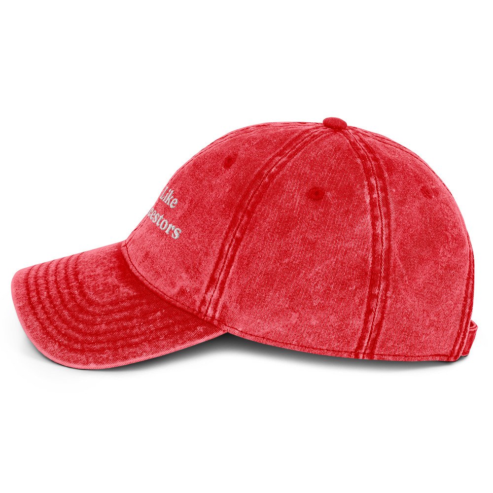vintage-cap-red-left-side-687c57e5cb04e.jpg