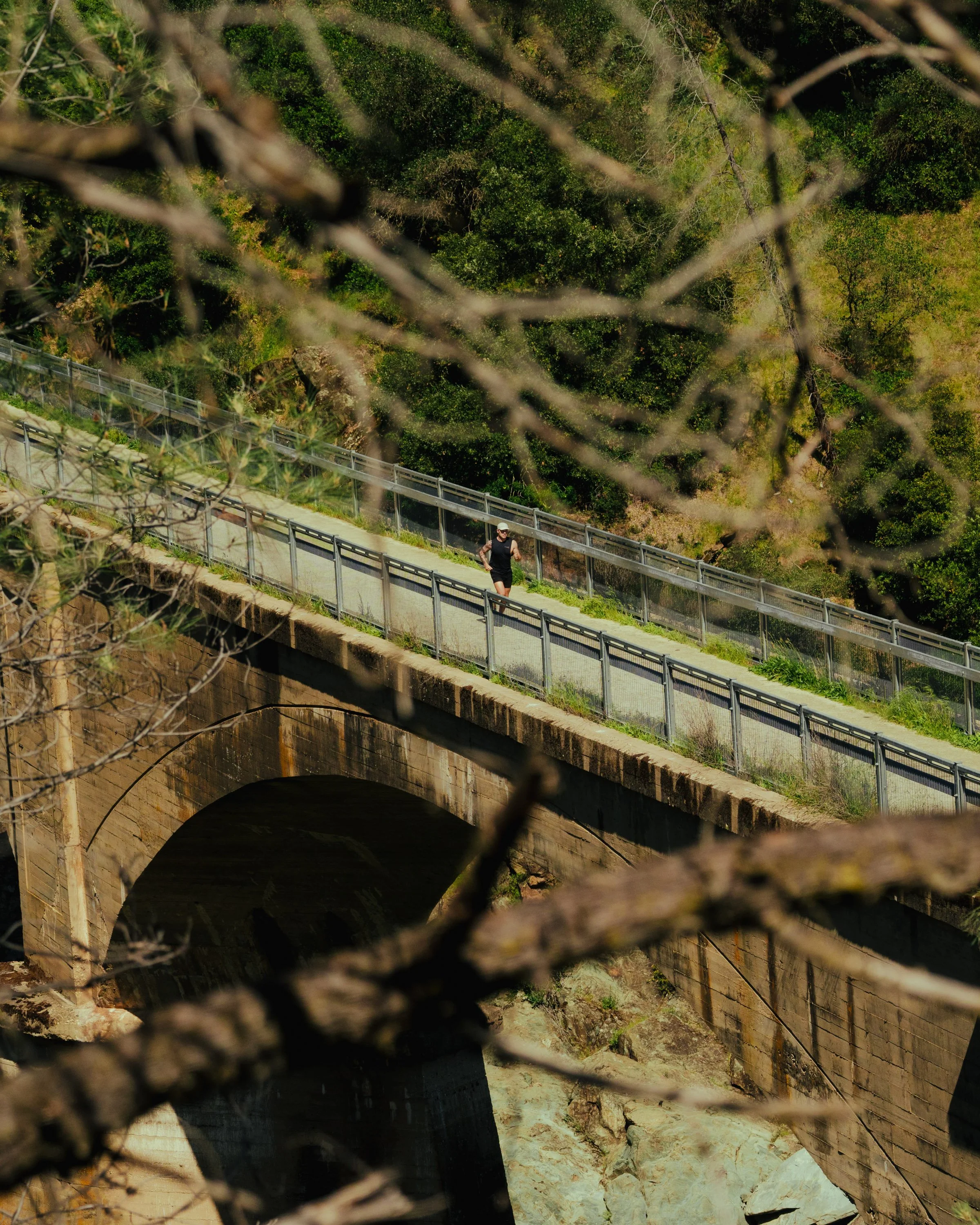 A7_00064-F1.jpg