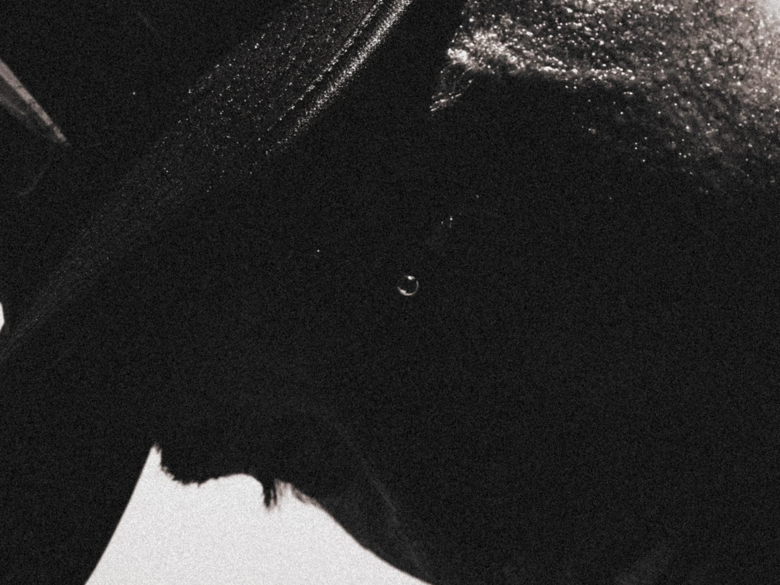 dbd-A7_00114-web.jpg