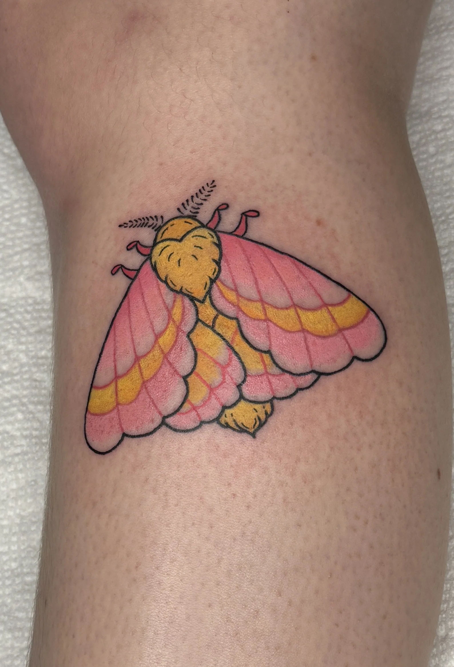 FullSizeRender (2).jpeg