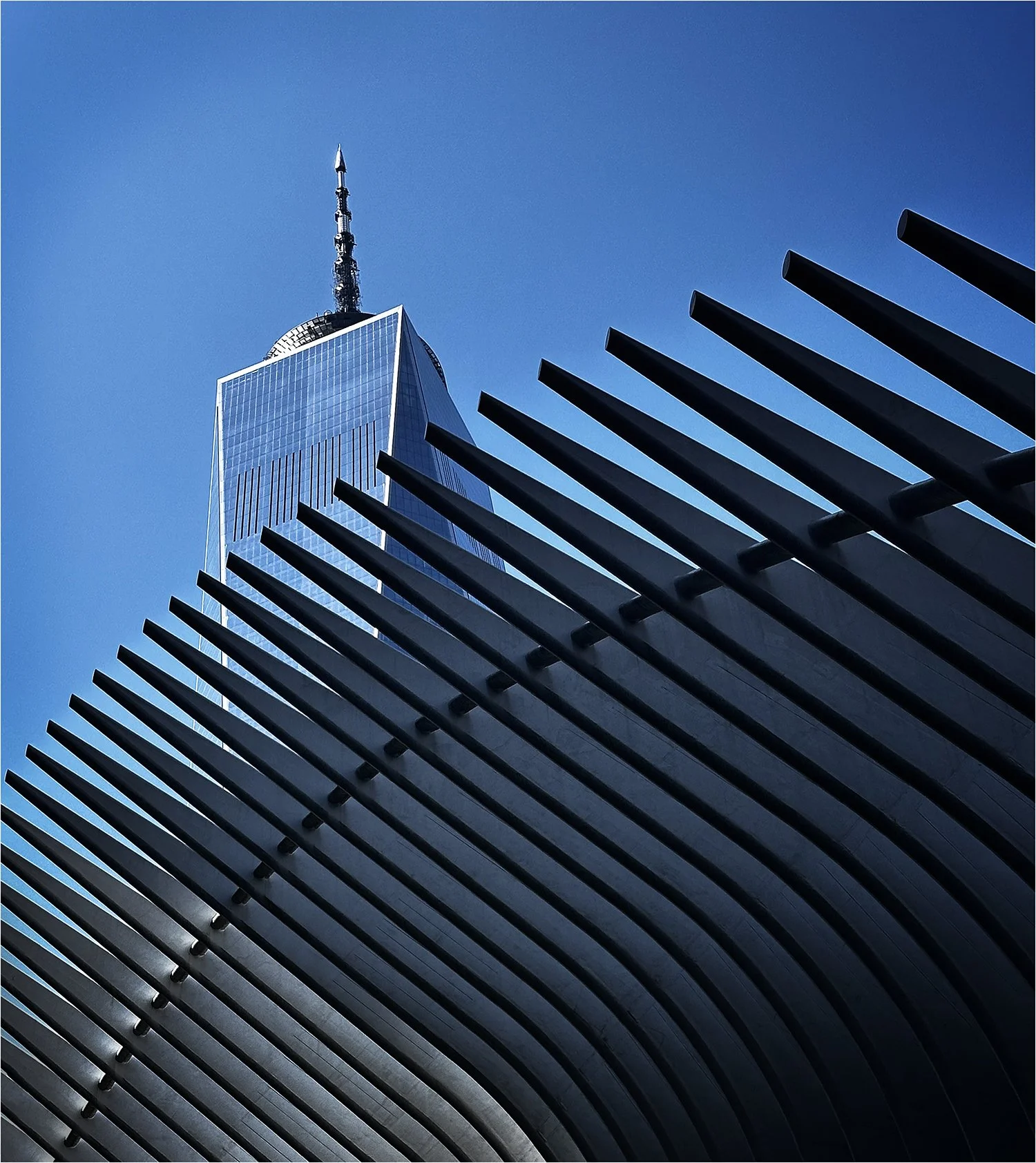 FREEDOM     Oculus and Freedom Tower    New York, NY