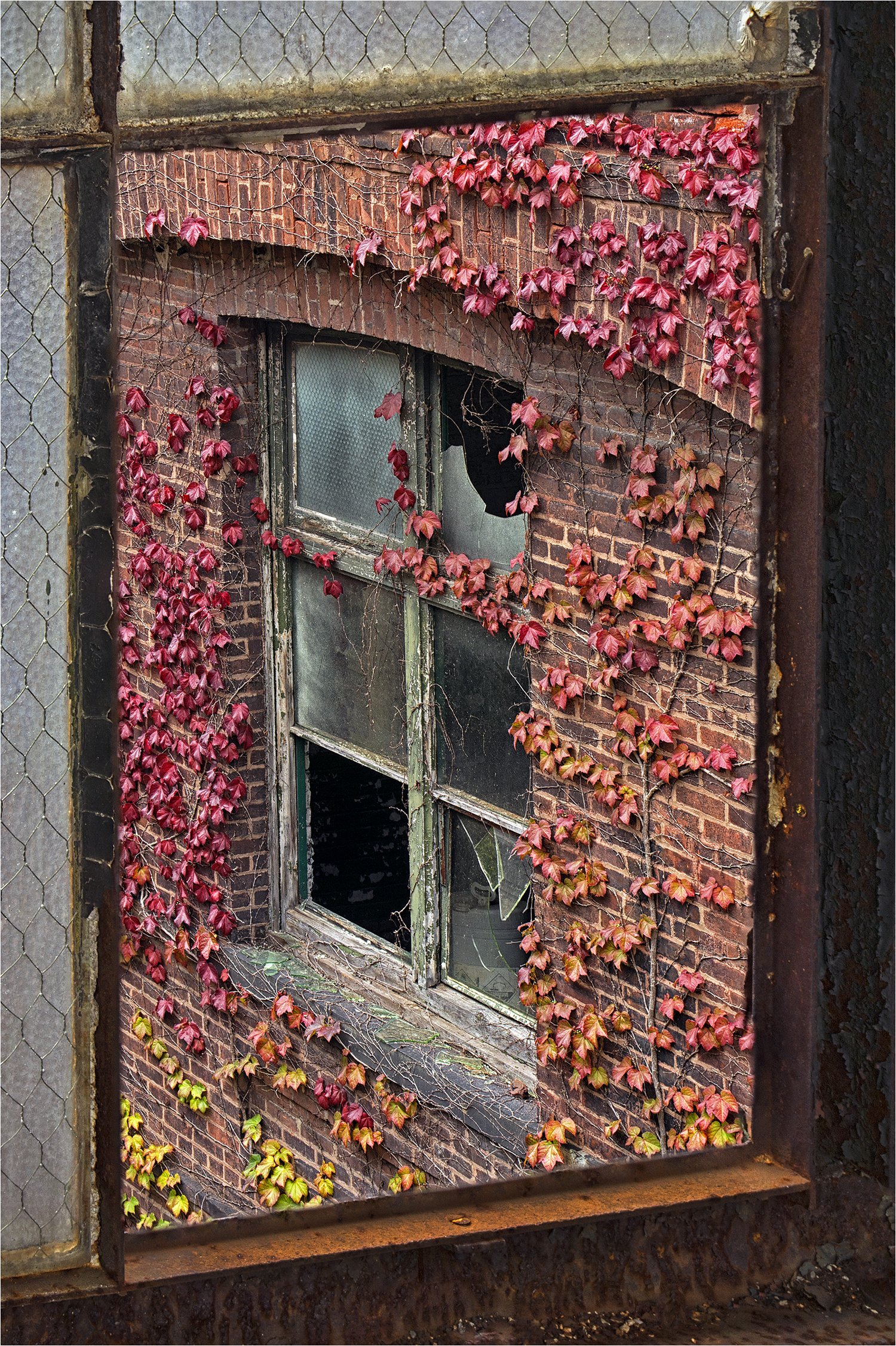 Senescence    Scranton Lace Factory     Scranton, PA