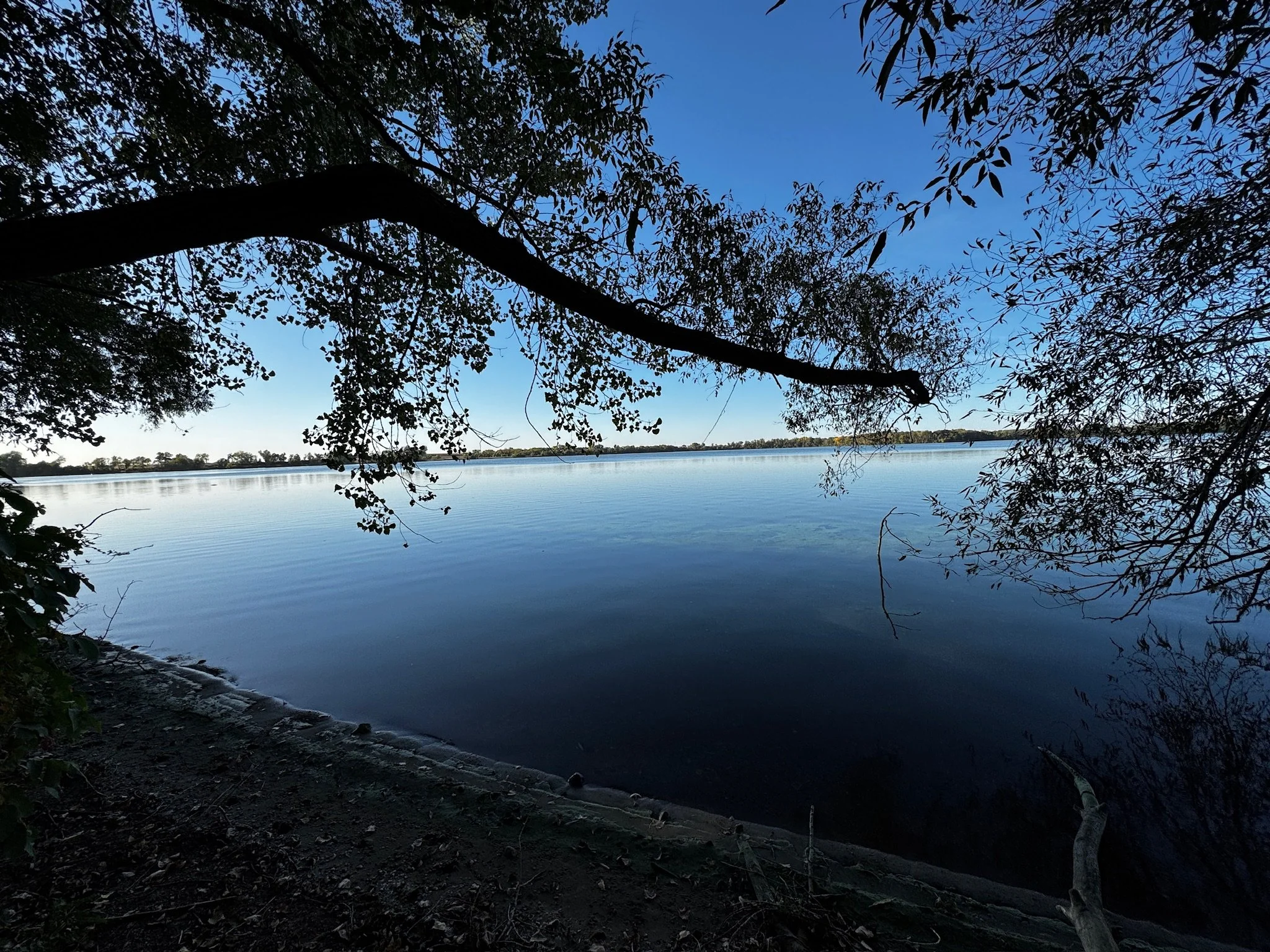 Metta Meditation Center on Lake Elysian in MN