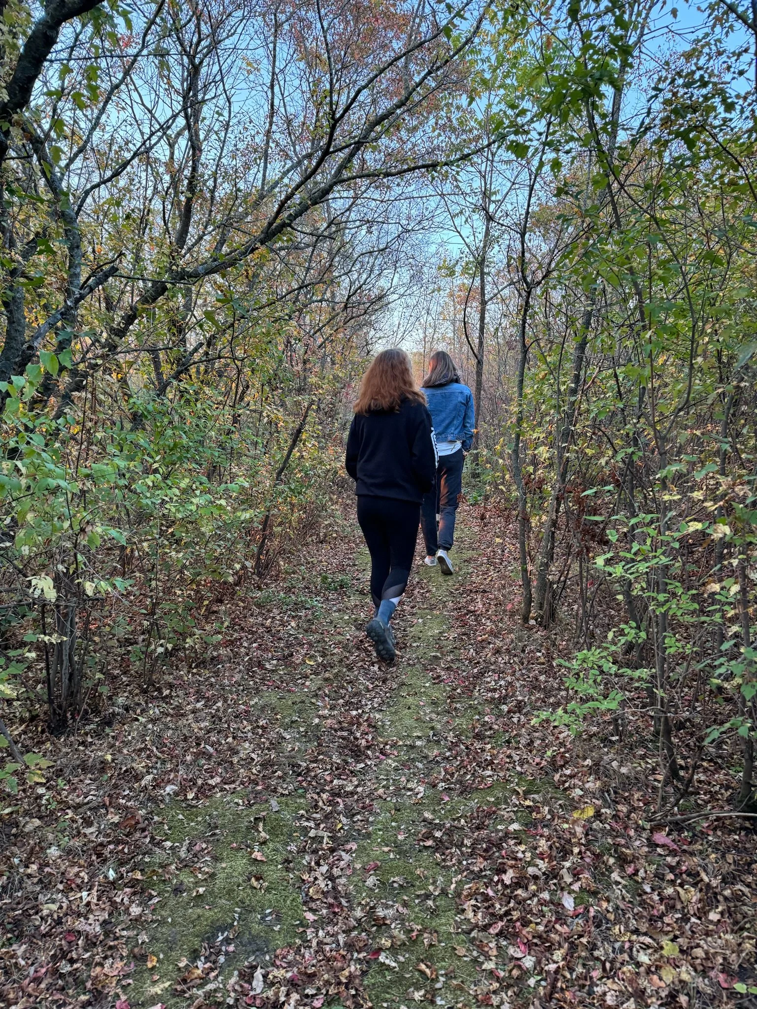 Exploring the grounds