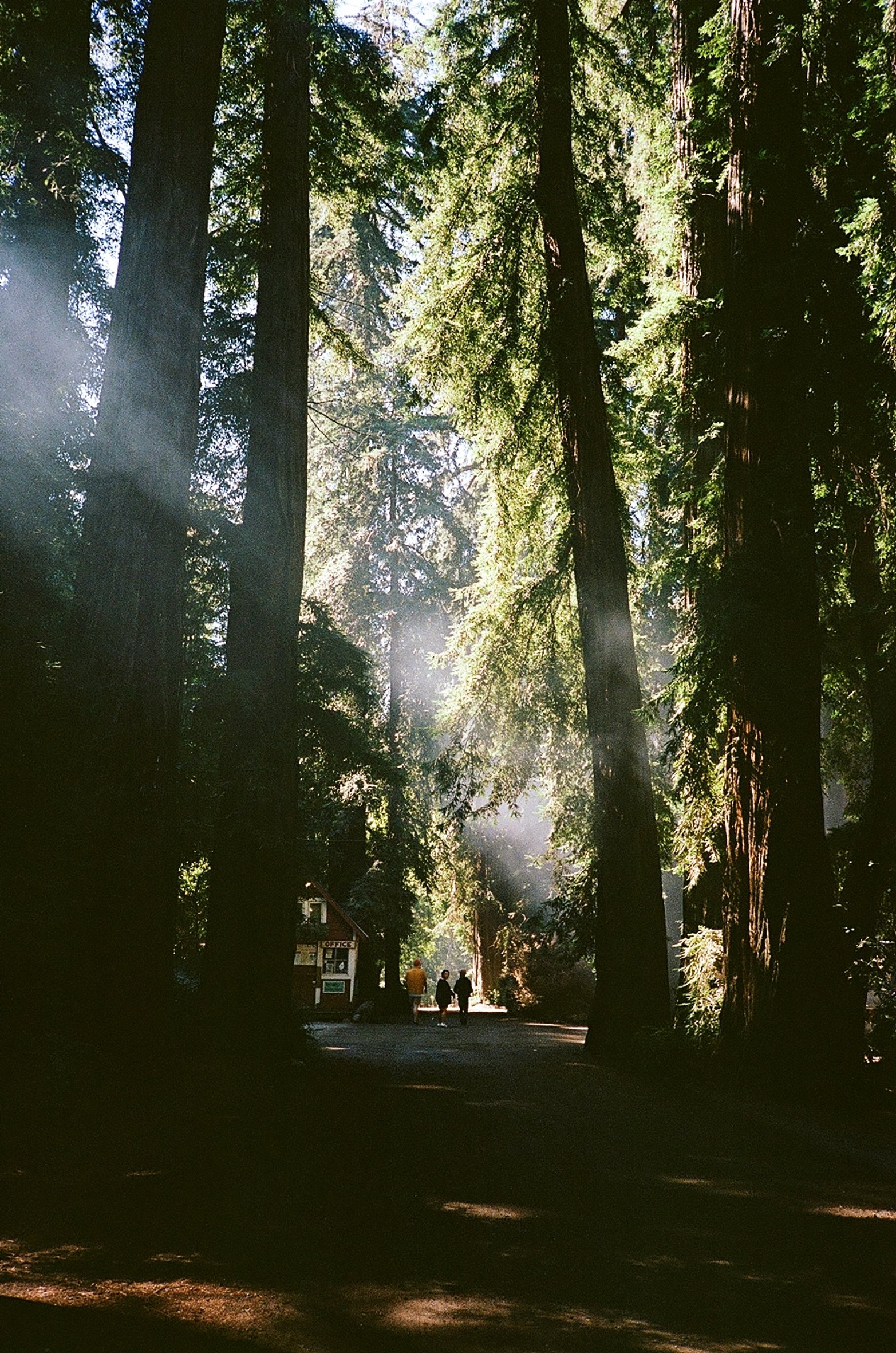 DAY 04-0035_35-05.jpg