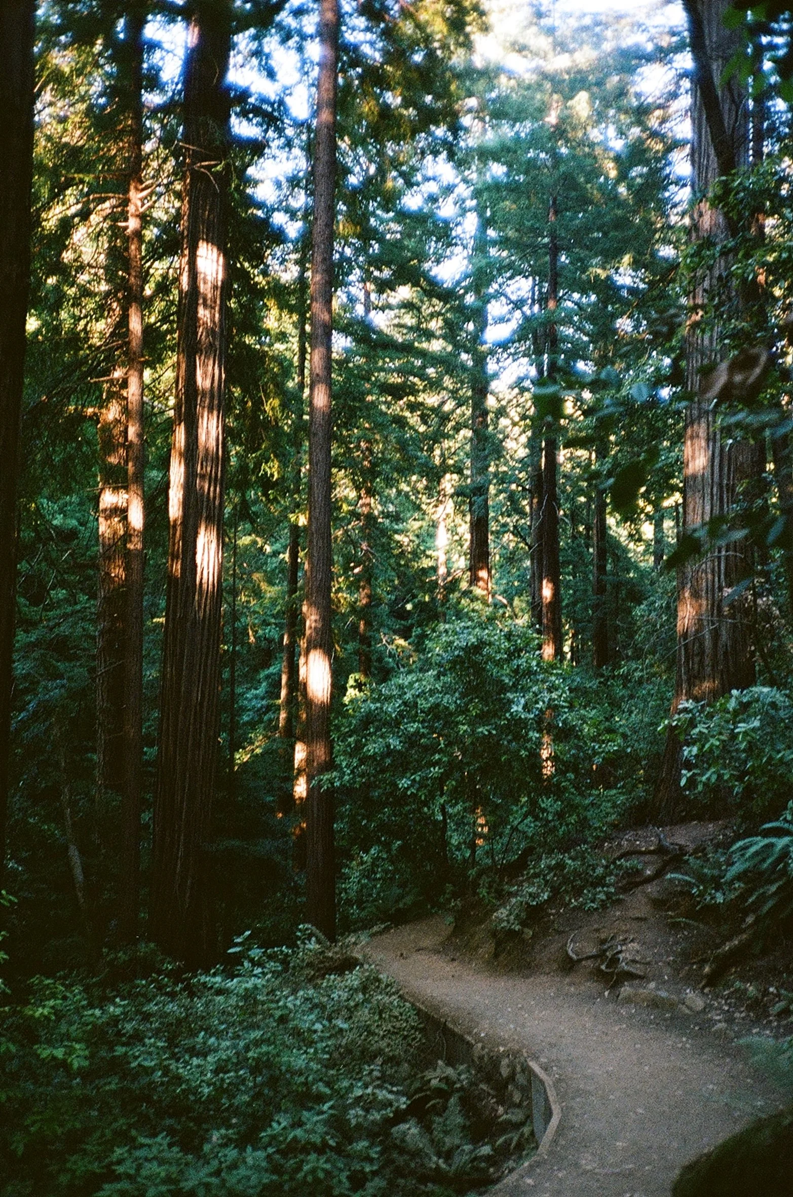 DAY 05-0016_16-02.jpg