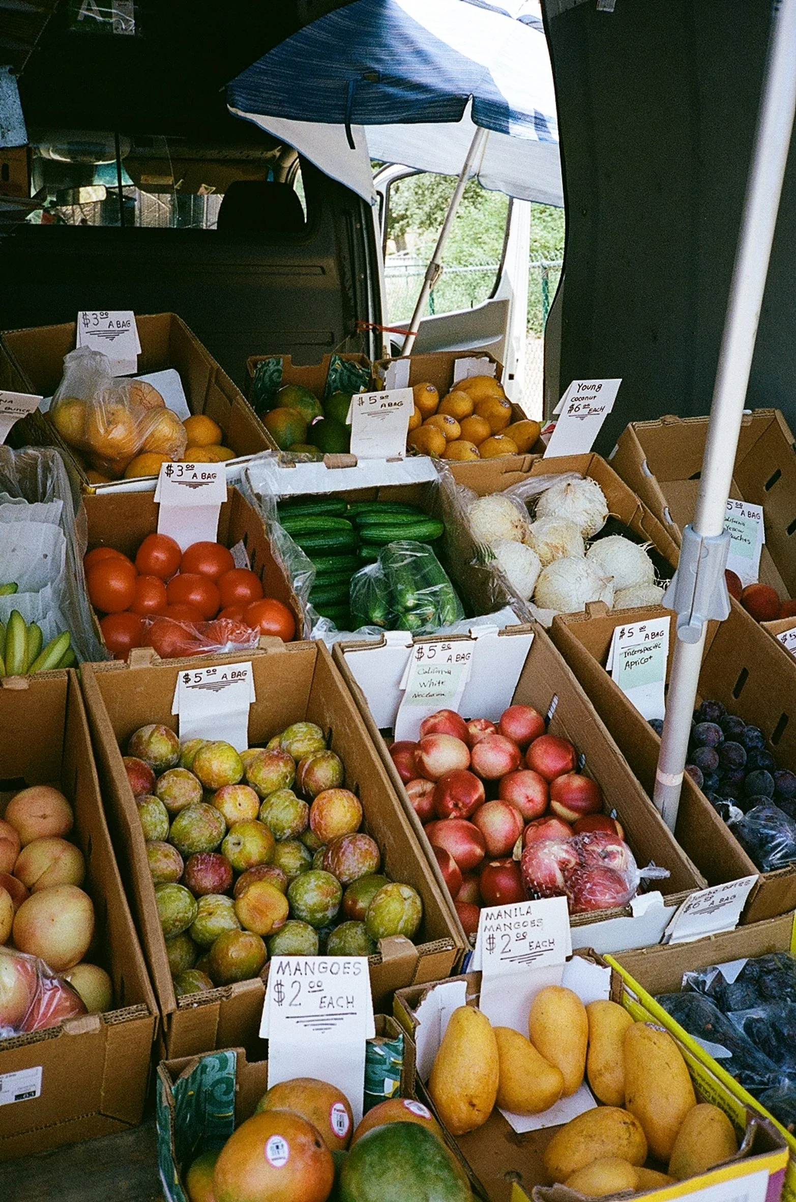 DAY 03-0021_18-06.jpg