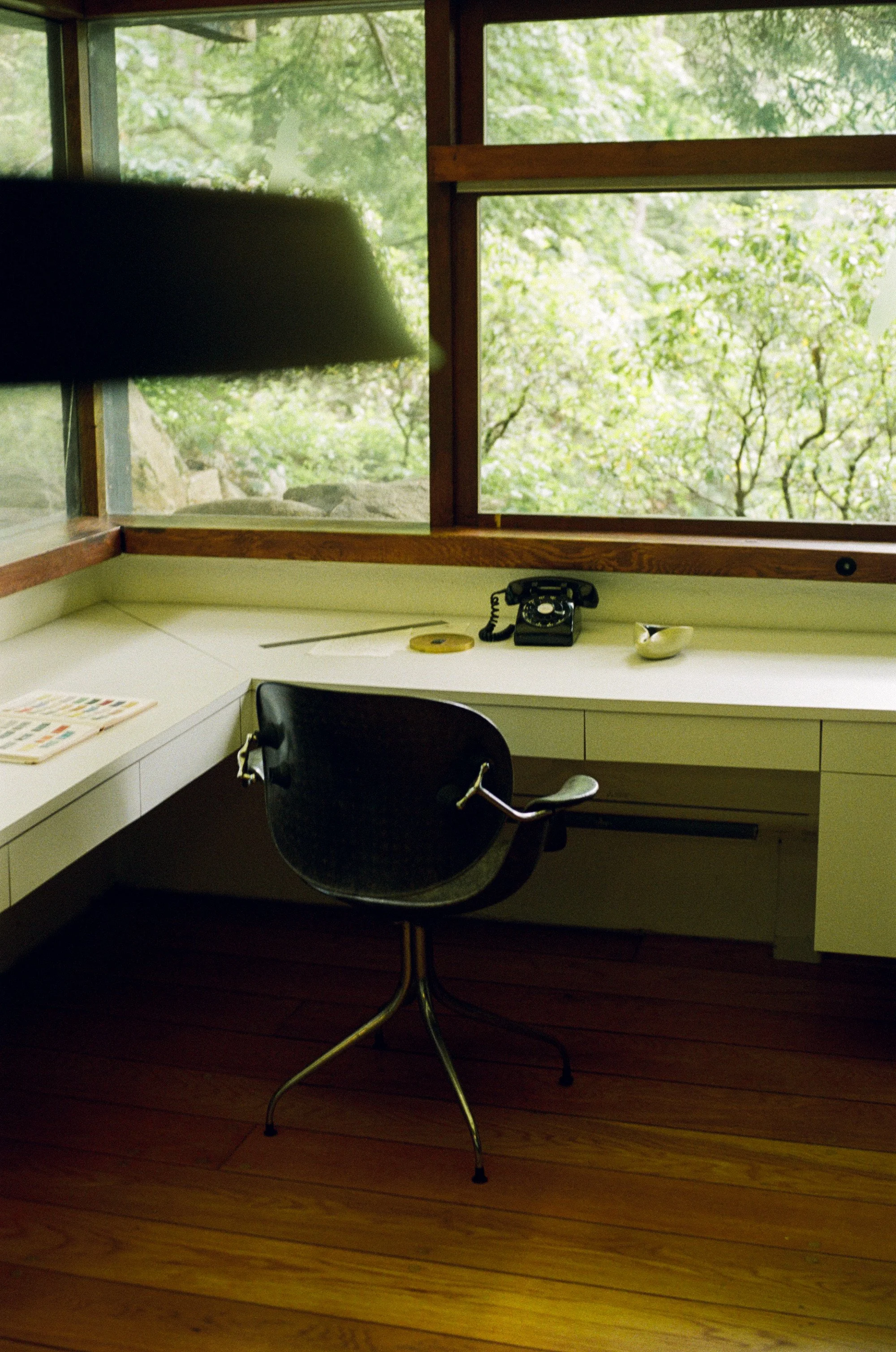kodak_800_c_41_40537_133252_296751_000042440028.JPG