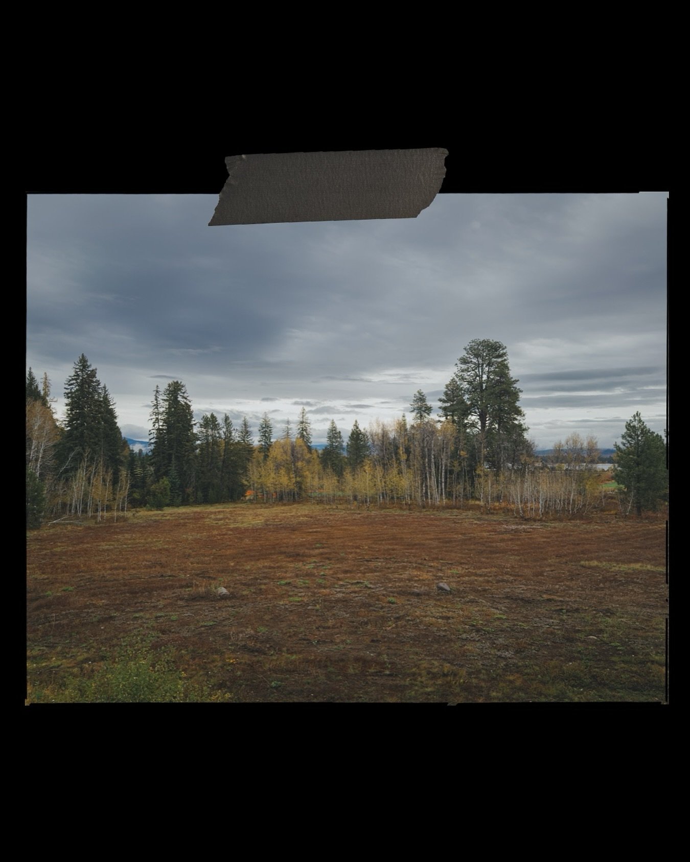 &ldquo;Listen, back in &rsquo;82, this field was the spot. We tried to build a town here, but the deer unionized, the trees objected, and, well&hellip; we just left it like this.&rdquo; &ndash; Senator Rusty &ldquo;Two Beers&rdquo; McAllister #LeicaQ