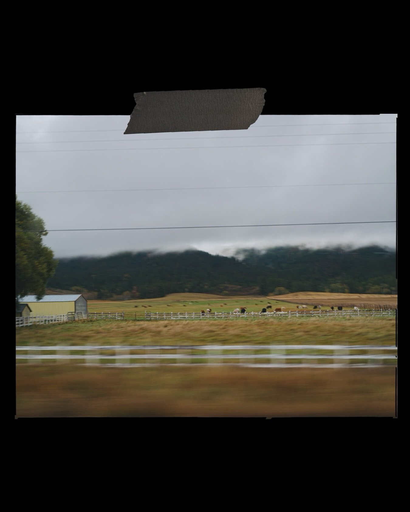 Motion blur, moody cows, and a reminder that taking photos while driving is a bold&mdash;if slightly questionable&mdash;life choice. #LeicaQ2 #DriveByPhotography #IdahoCountryside #CinematicNature #RuralScenes #MotionBlur #CountryRoadViews #MoodyLand