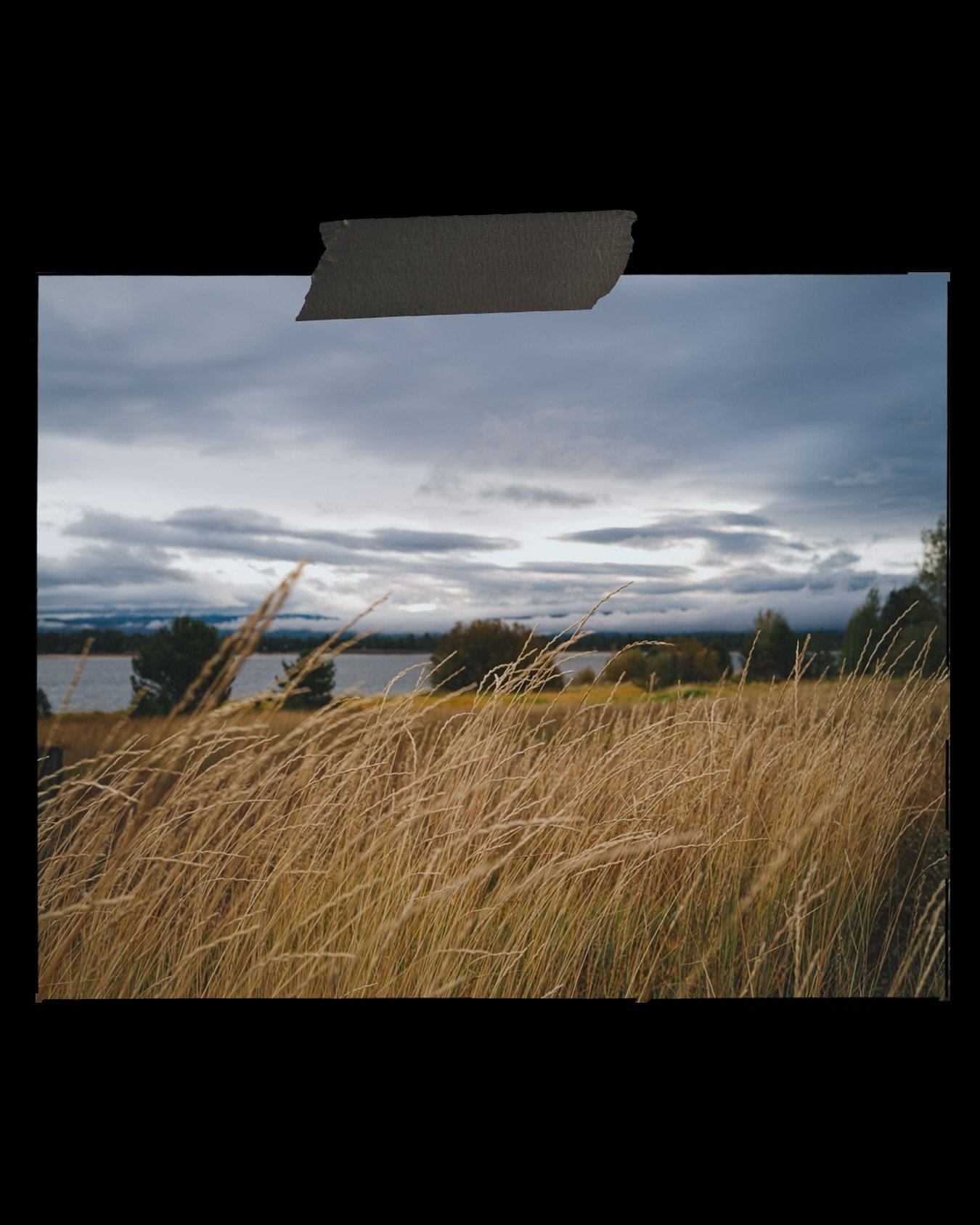 In 1874, locals reported seeing this field &lsquo;breathe&rsquo; during a storm. Historians later blamed whiskey, but the grass hasn&rsquo;t stopped moving since. #LeicaQ2 #IdahoLandscapes #GoldenHourFields #MoodySkies #WildernessVibes #CinematicNatu