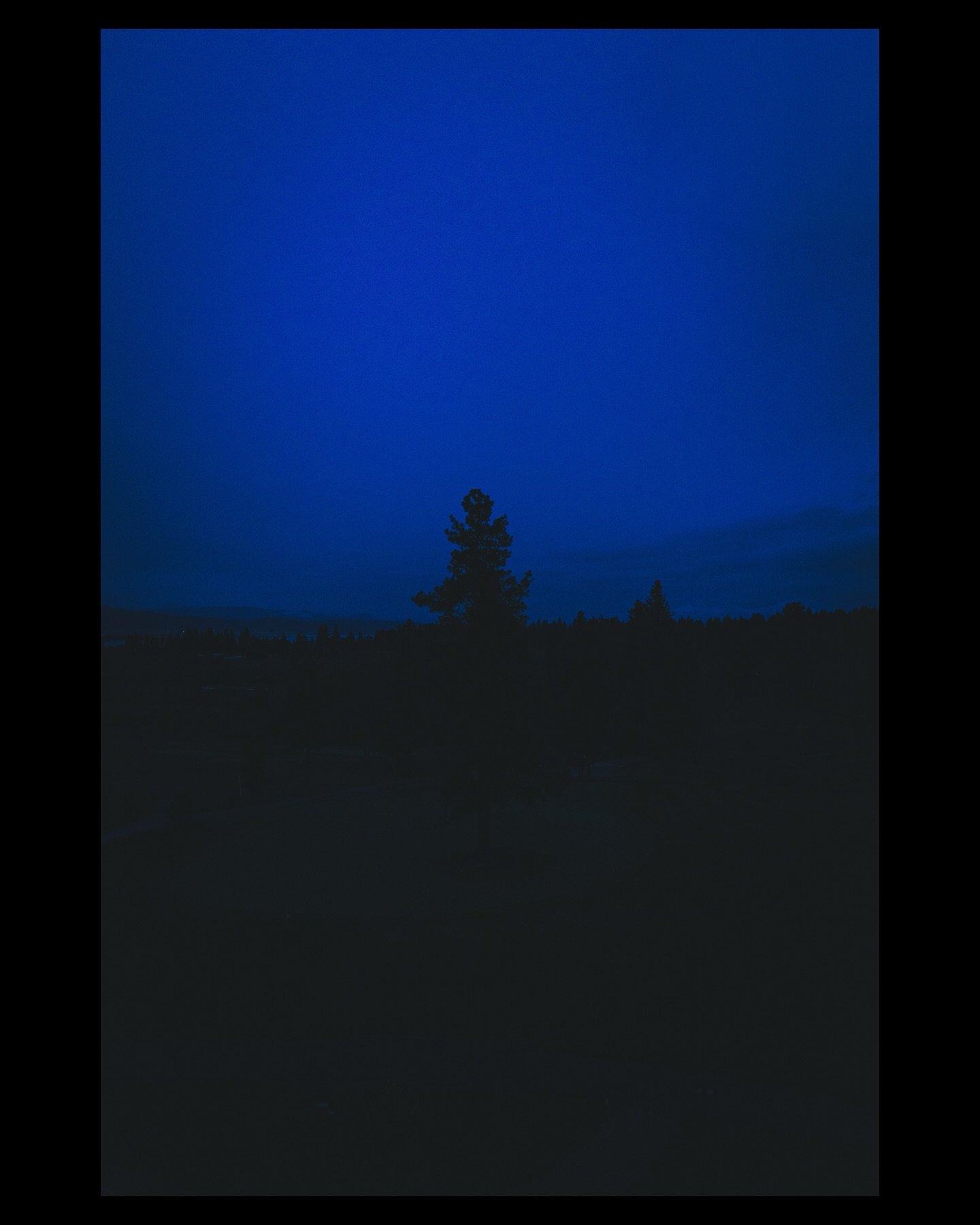The sky was tired, the tree was dramatic, and I was just there&mdash;barely awake, questioning all my life choices before sunrise. #LeicaQ2 #IdahoSkies #BlueHourMagic #MorningMood #MoodyLandscapes #QuietMoments #TreeSilhouette #EarlyMorningVibes #Cin