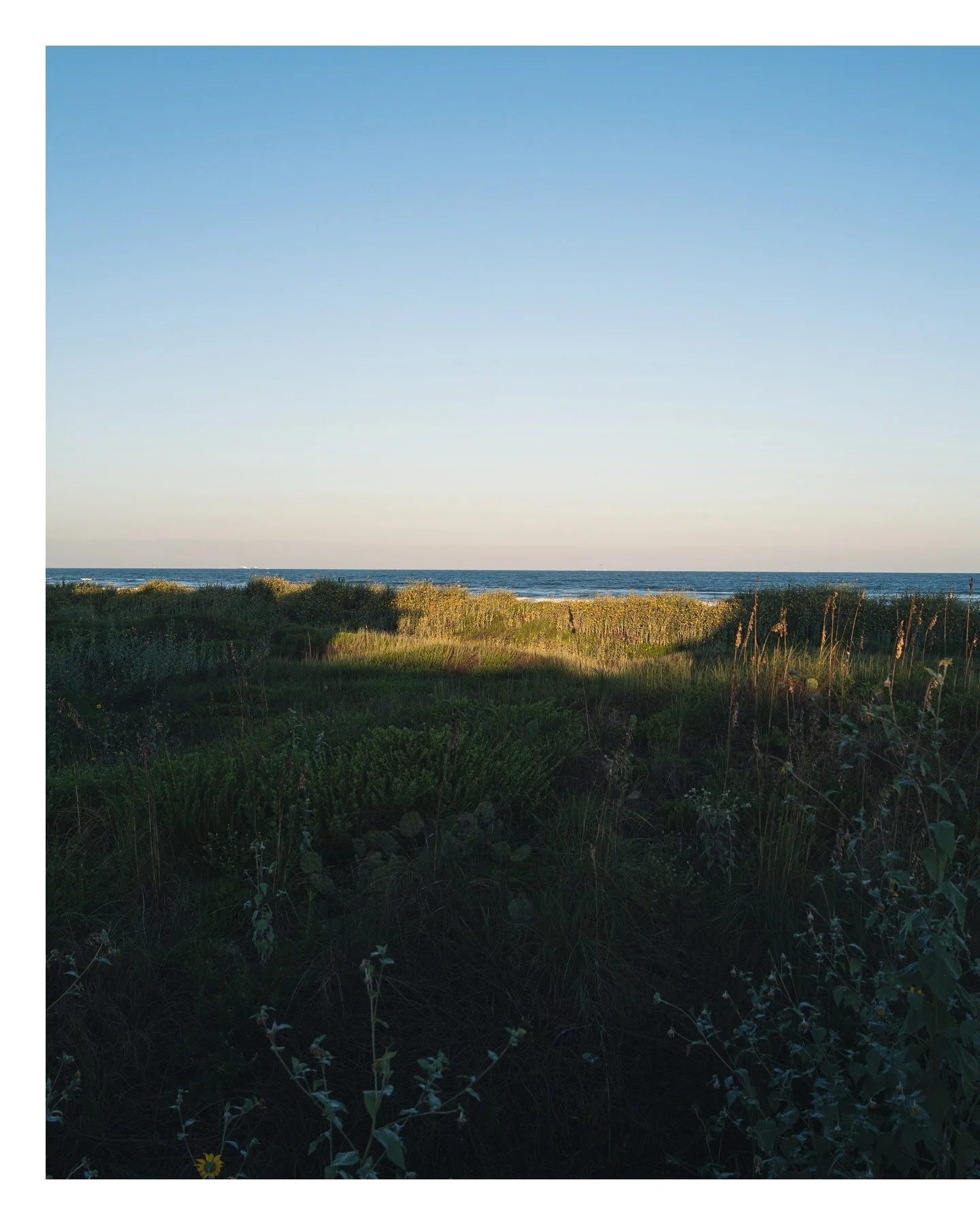 Haven&rsquo;t posted in a long while, so consider this a bit of a proof-of-life post&hellip; I think? Eh, anyway, throwing it back to a beach trip from last year. Does that even count? Maybe, maybe not. Either way, here it is.

I&rsquo;d love to say 